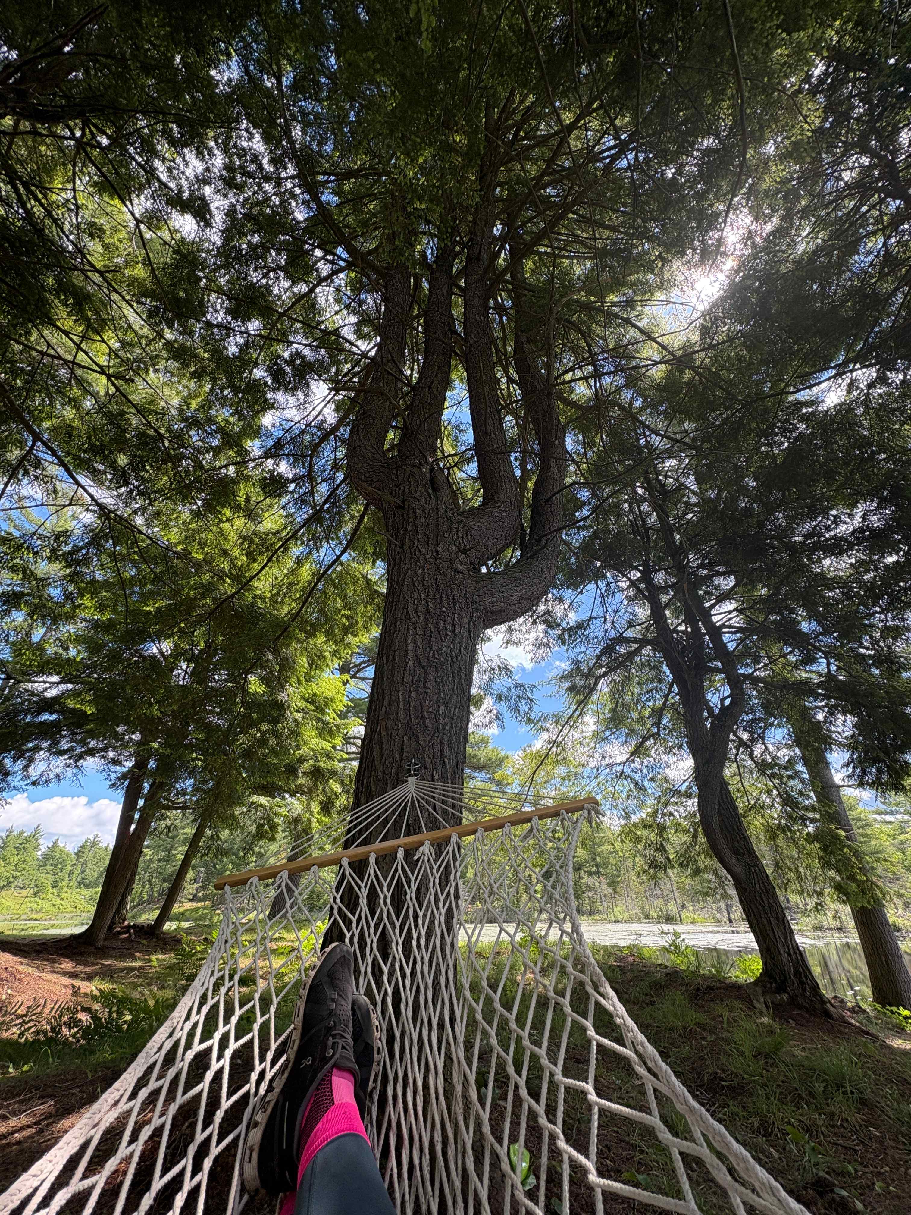 Hemlock Point Campground