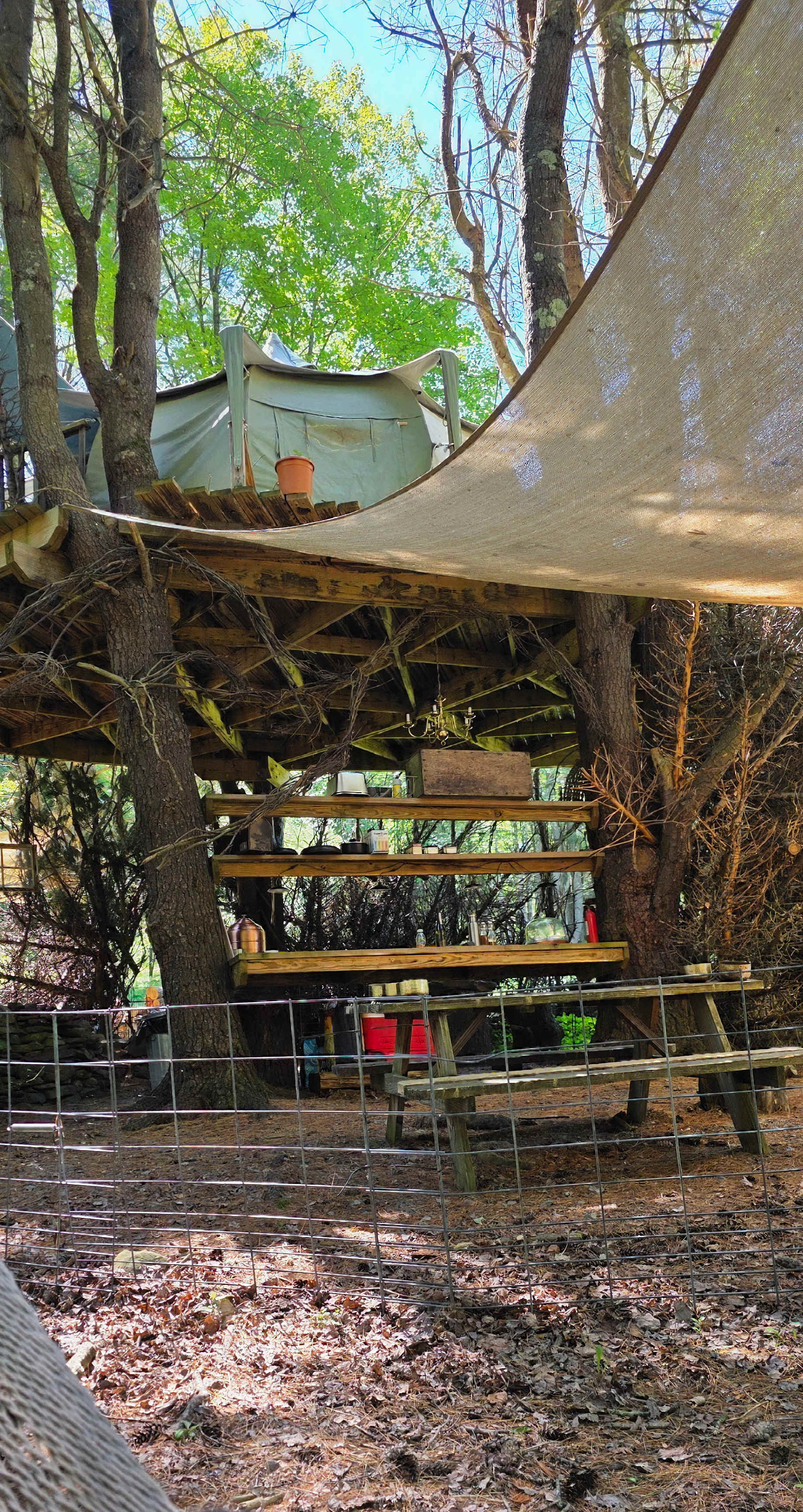 Escape...to Mariaville Goat Farm!