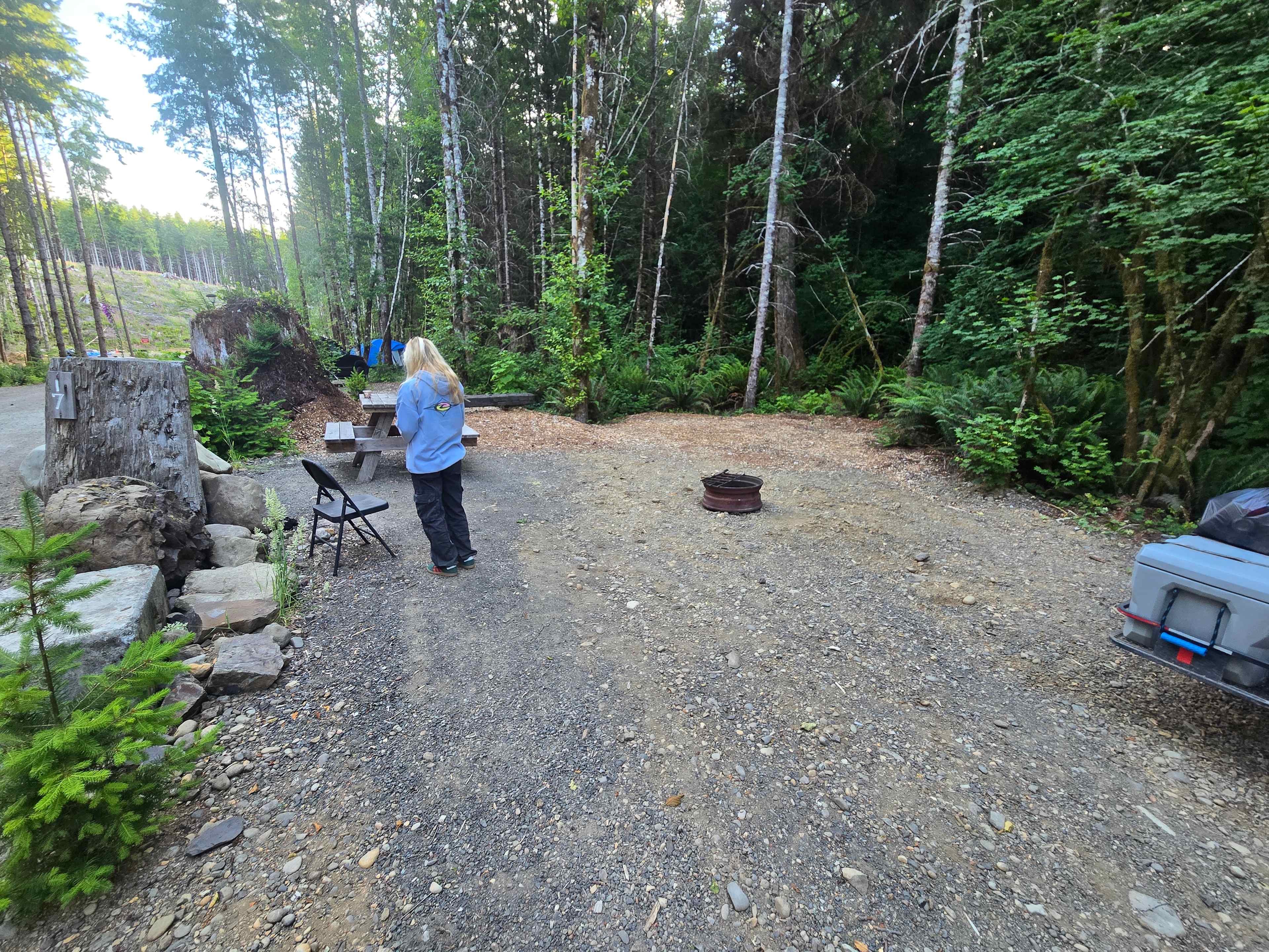 Picture of the site