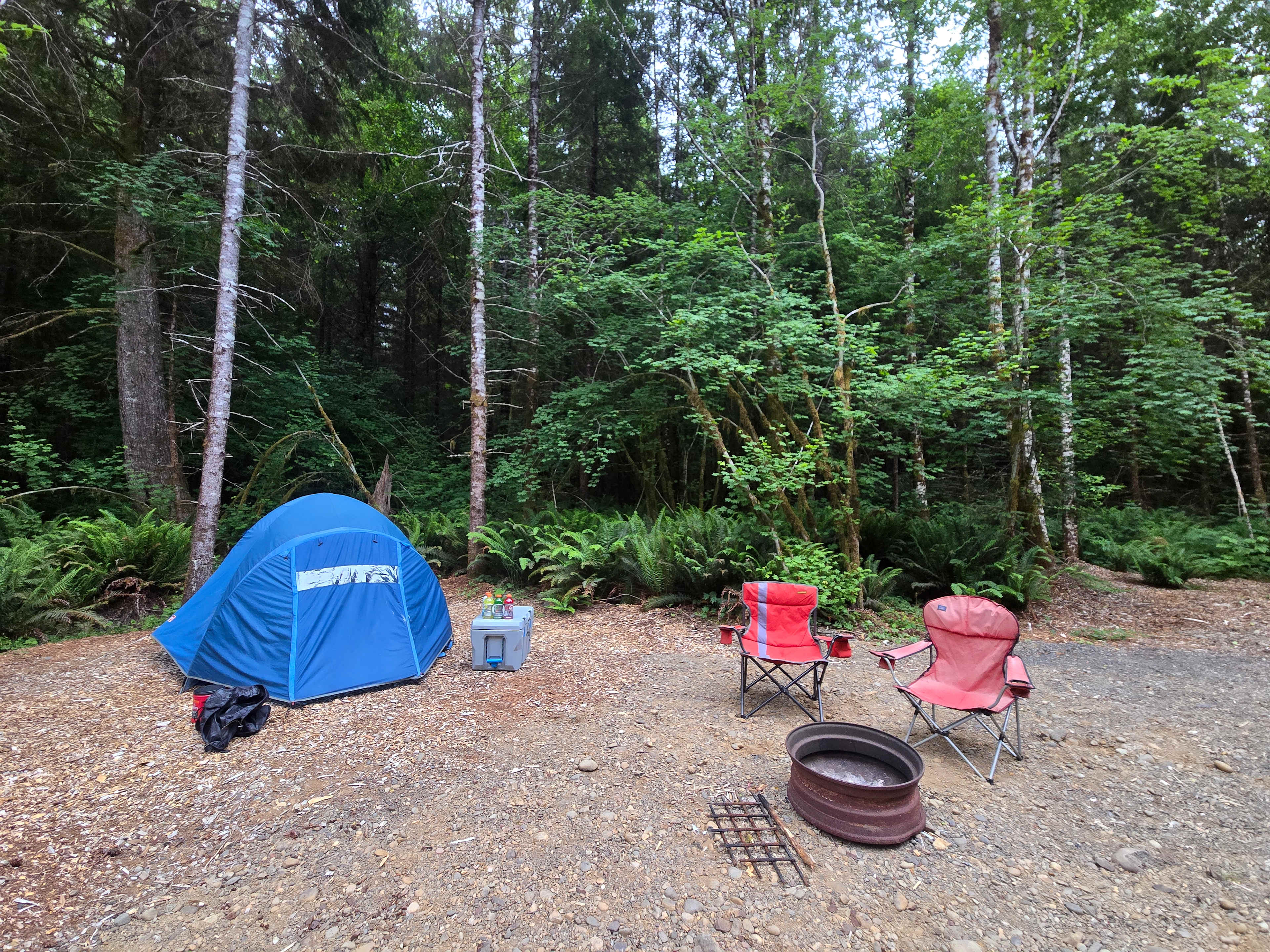 Picture of the site