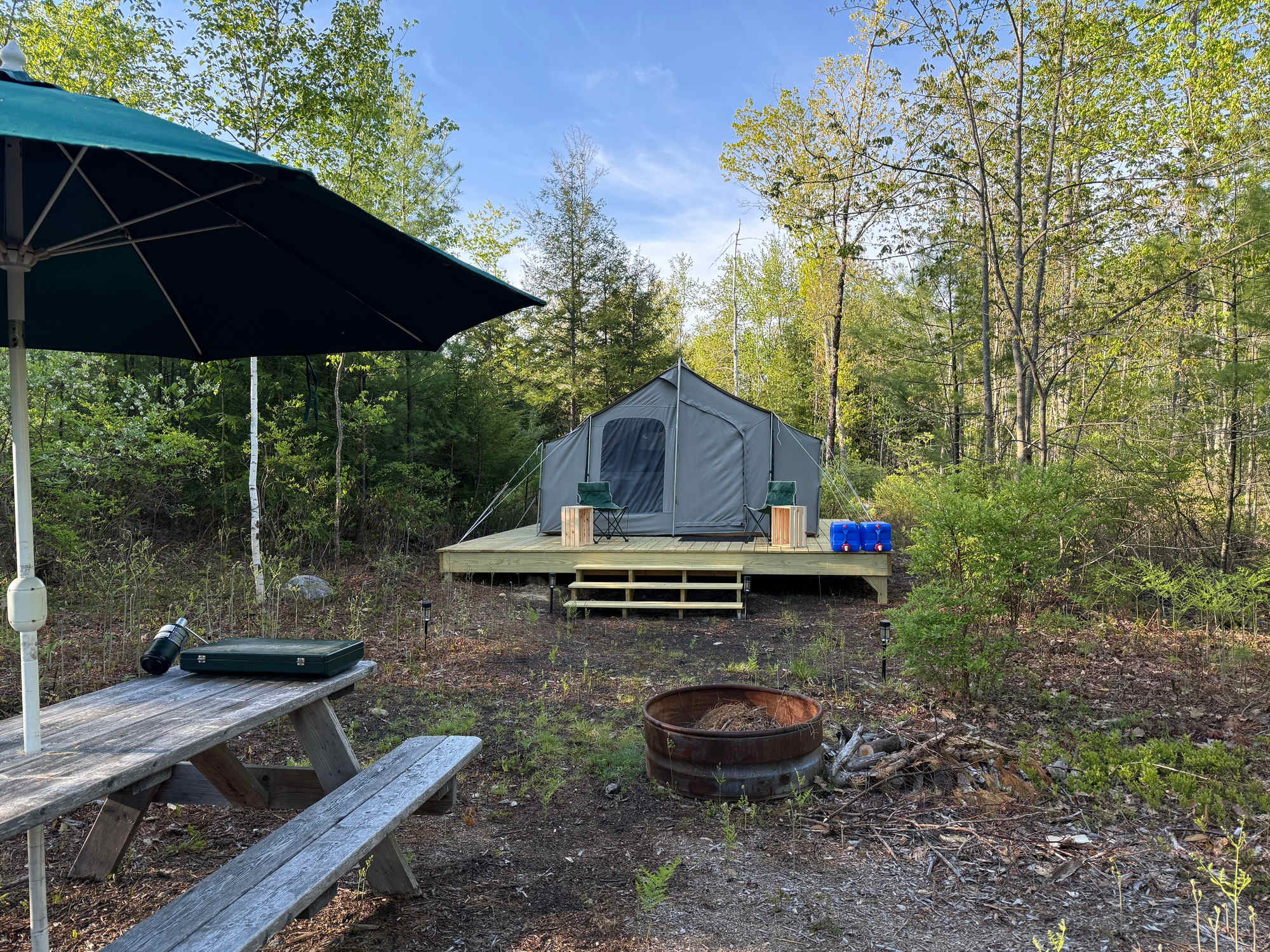 Picture of the site