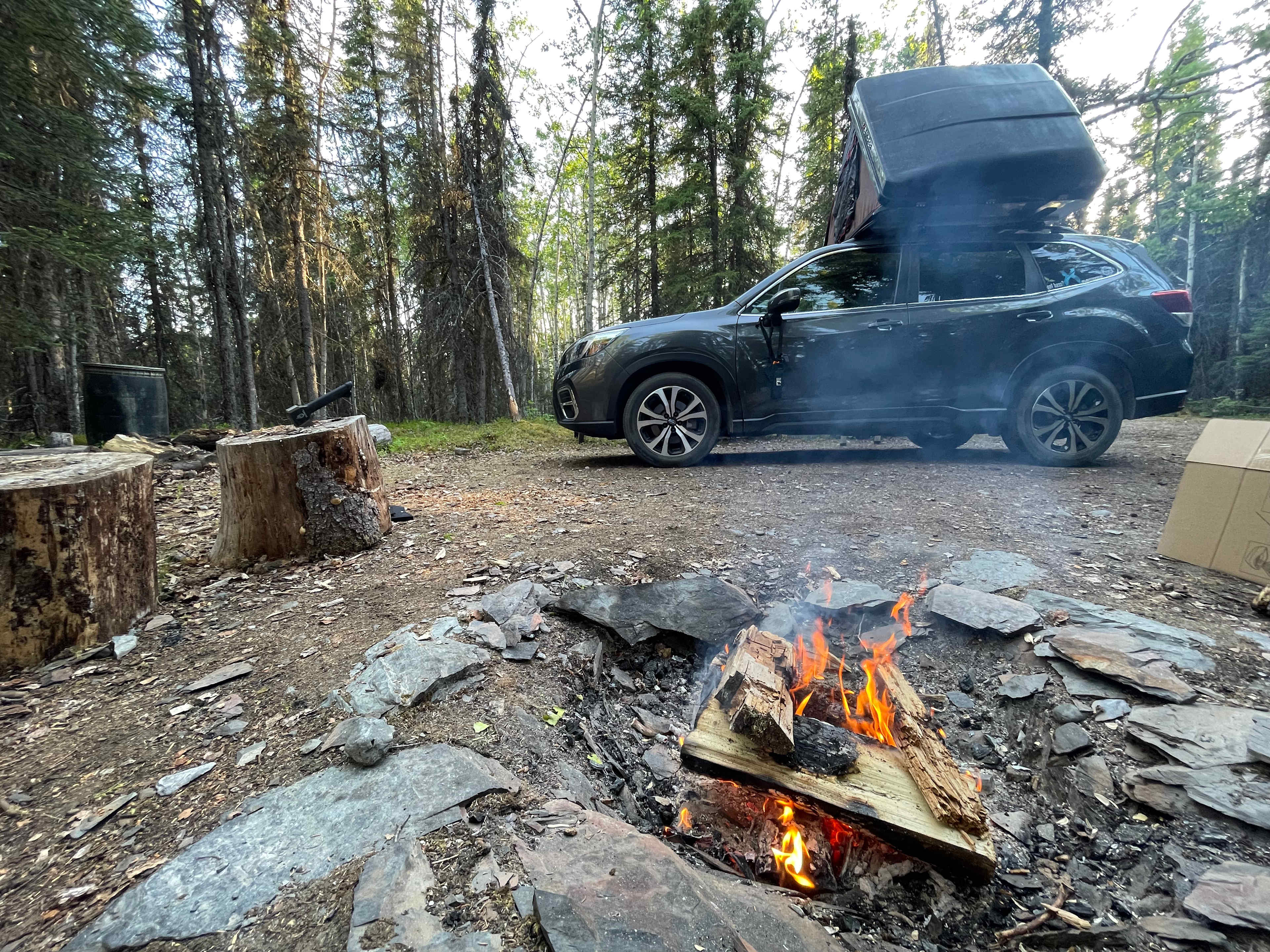 Mossy Forest Camp