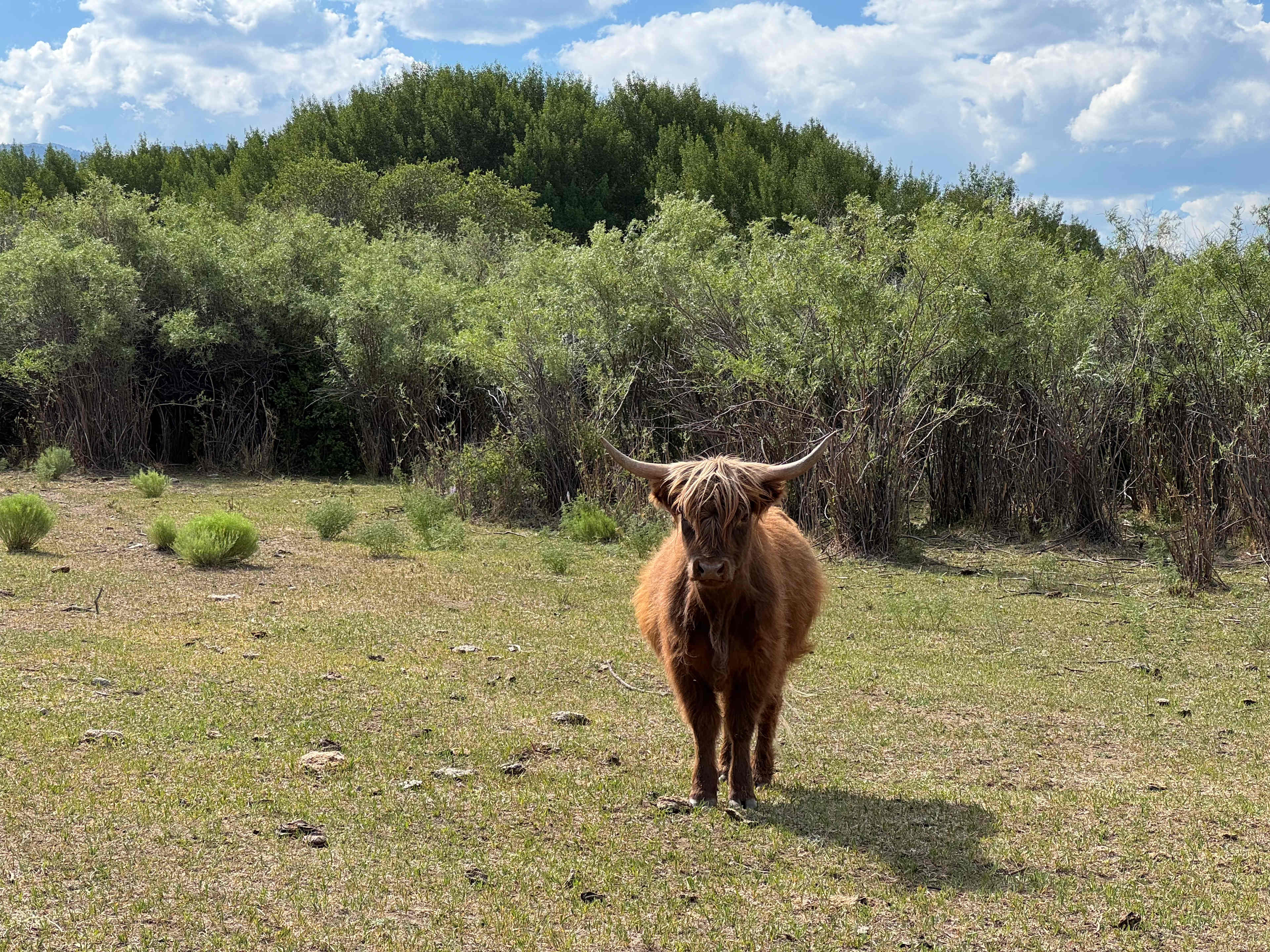 Frenchman's Creek Ranch