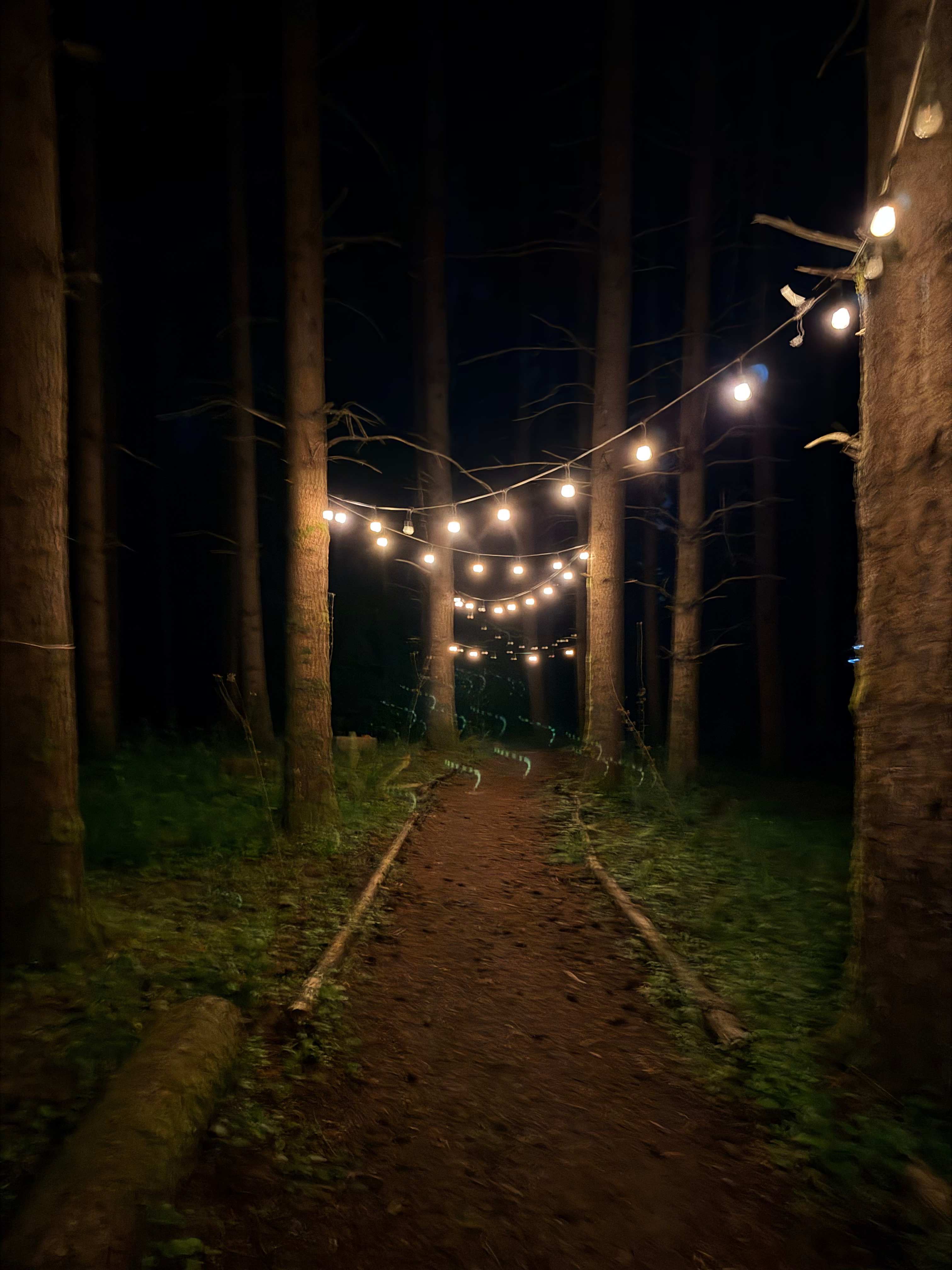 Akitaaru Forest Camp