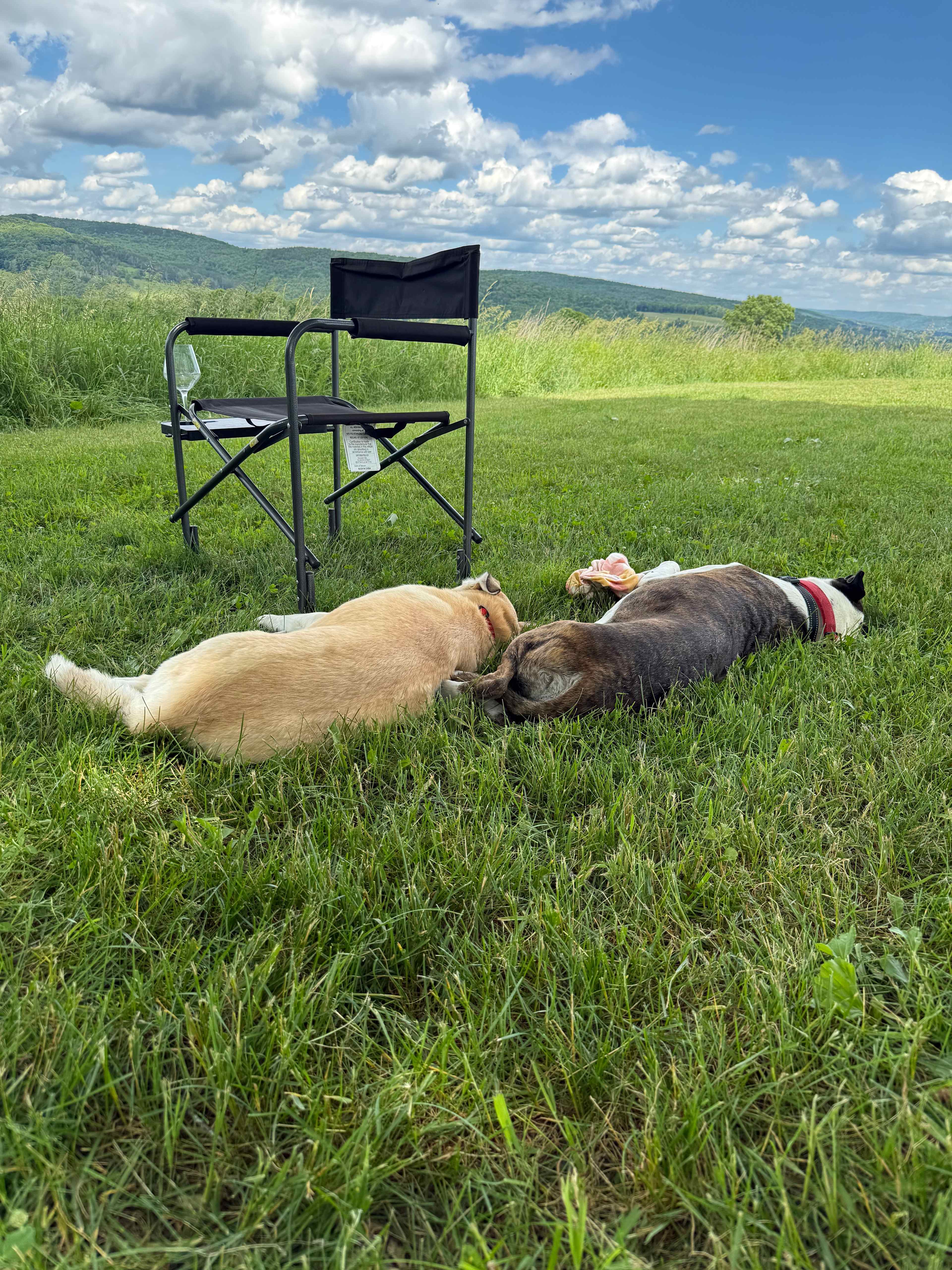 Red House Ranch Camp
