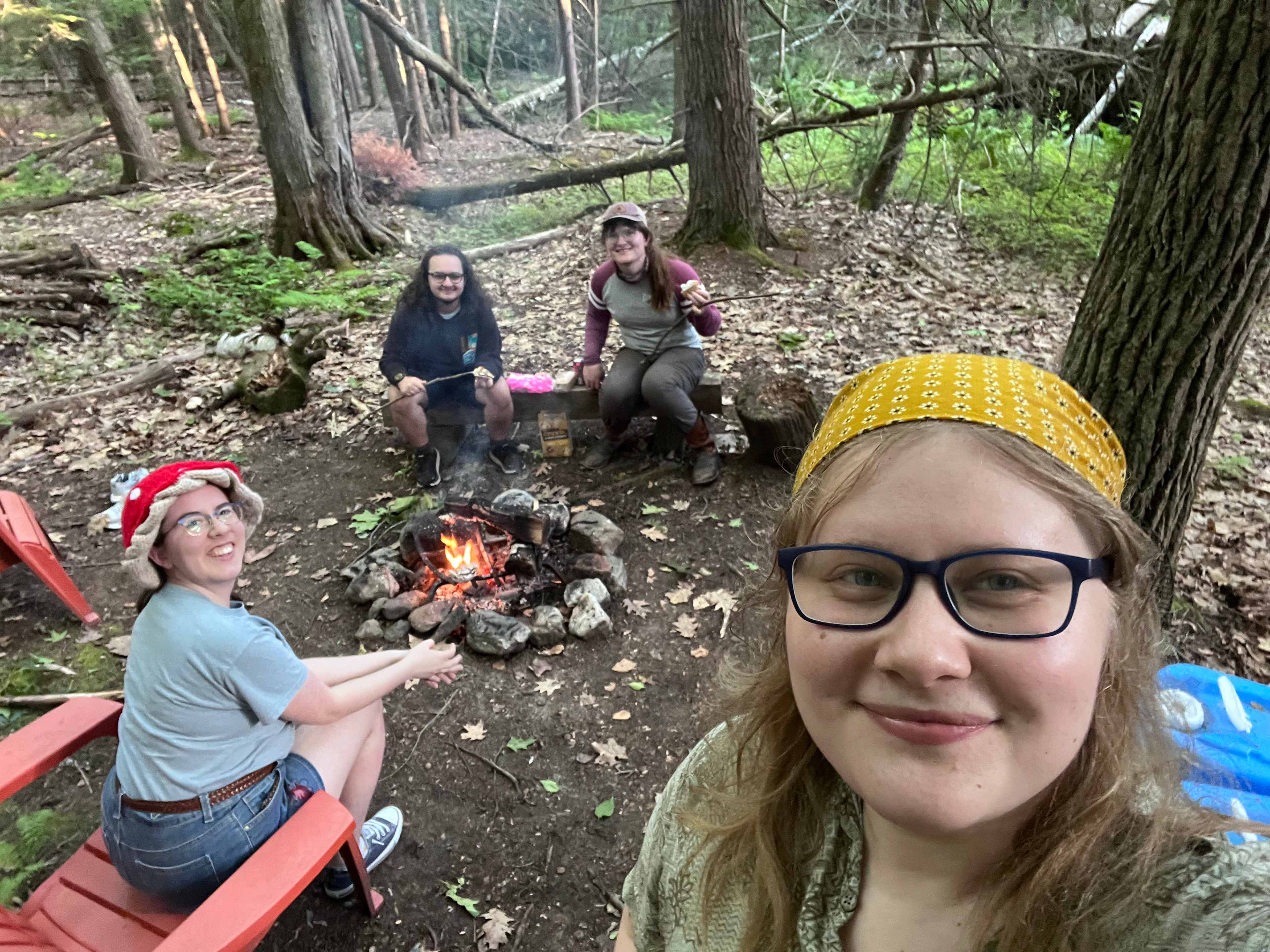 Forest Hut in Western Mass