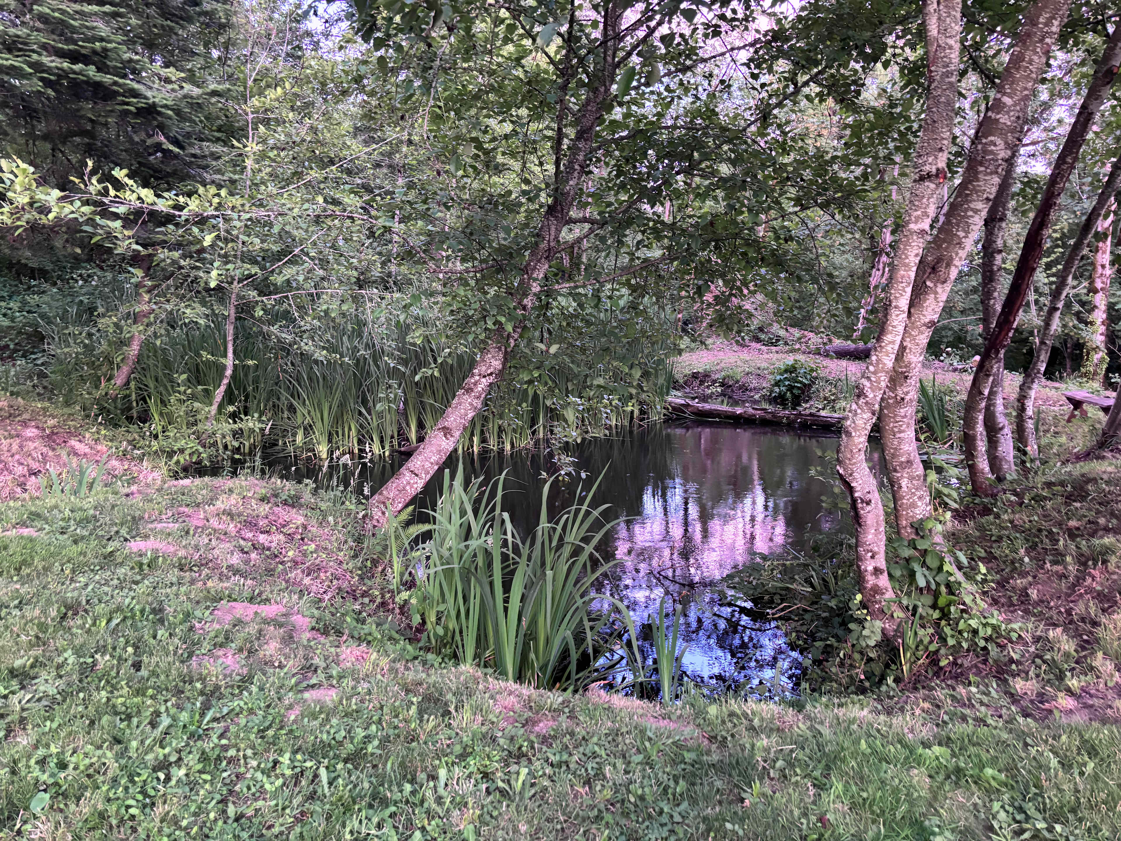 Scenic RV sites Near Columbia Gorge