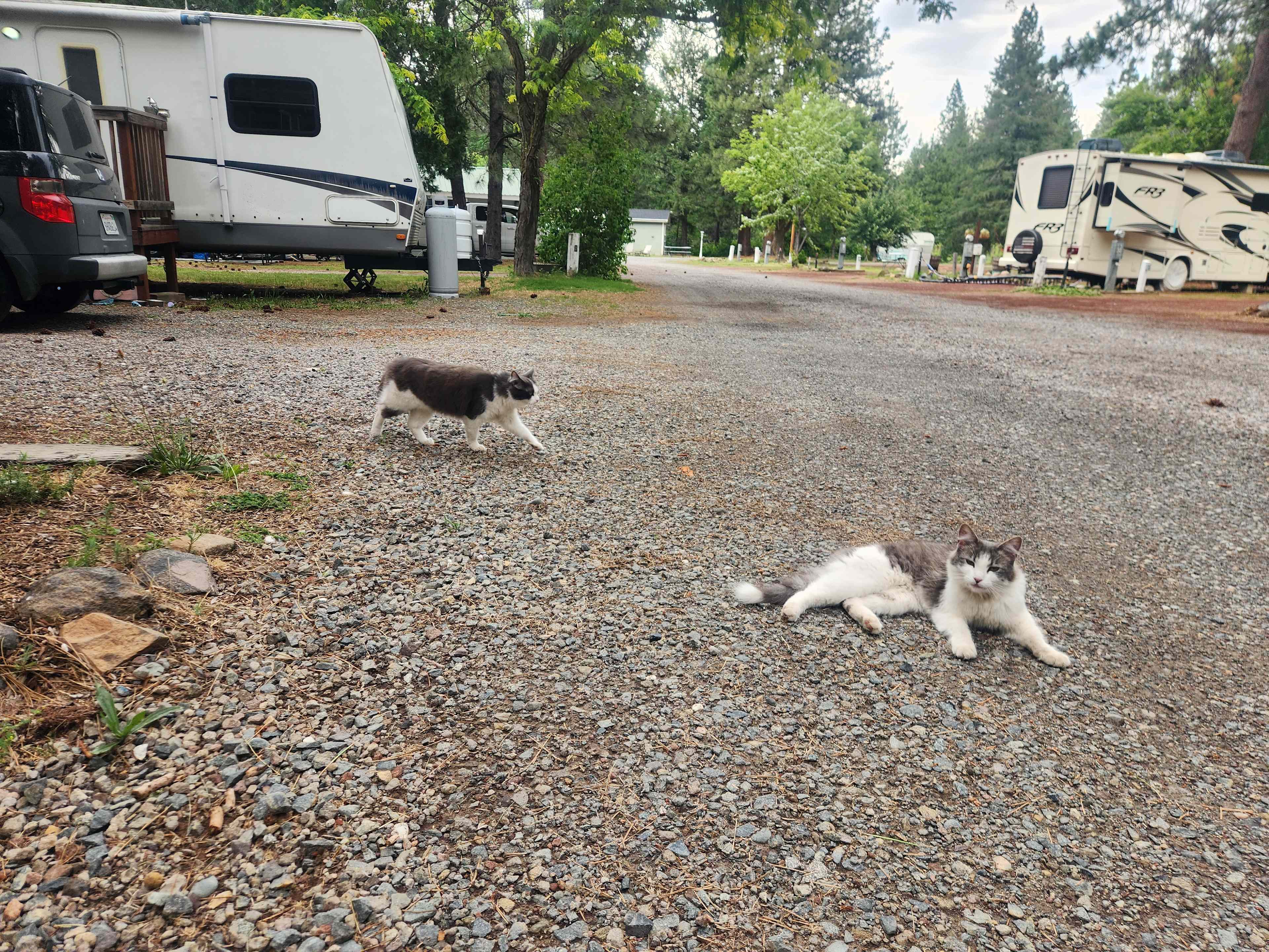 Trailer Lane Campground