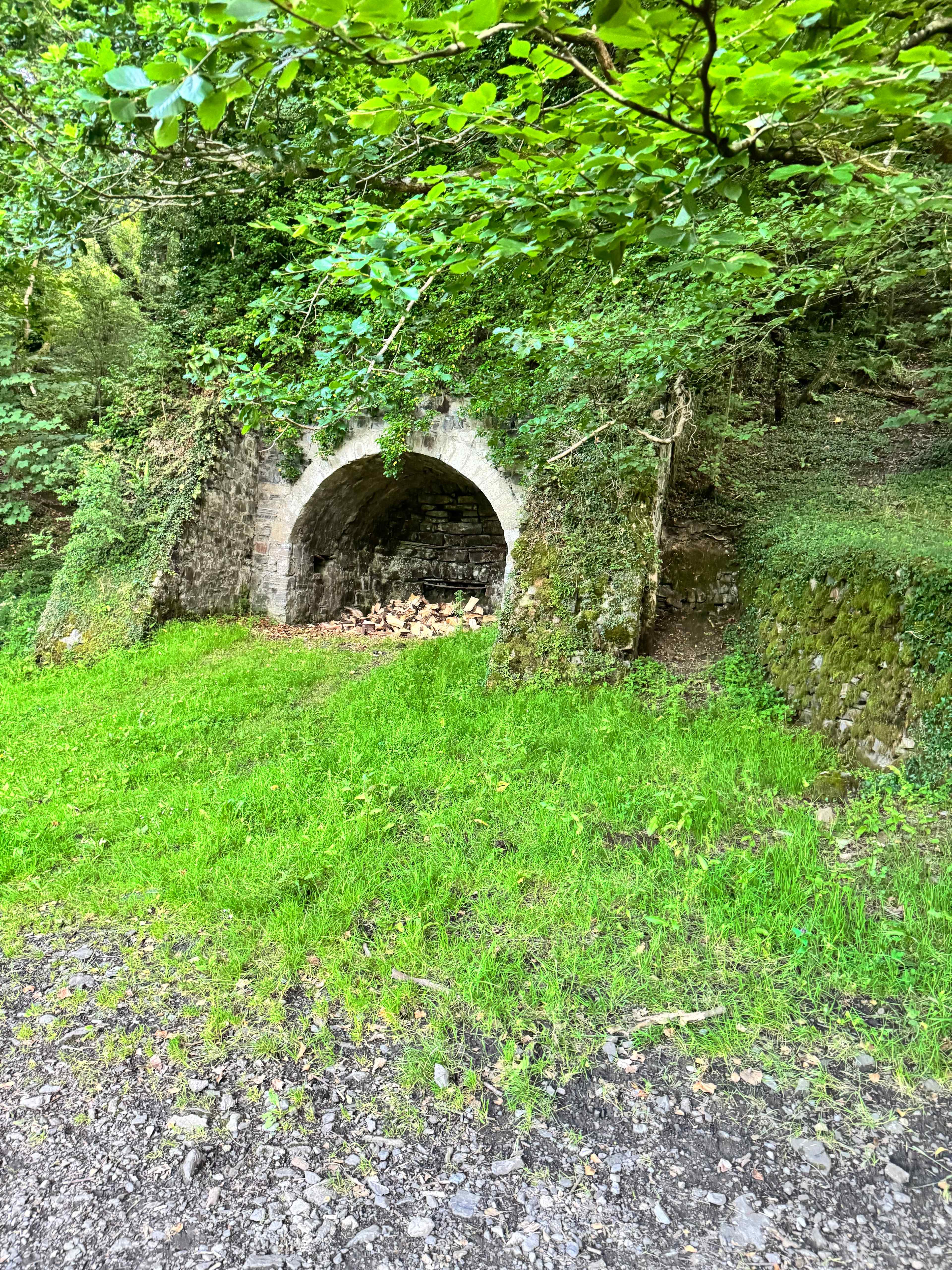 Meldon Lake and Woods Wild Camping