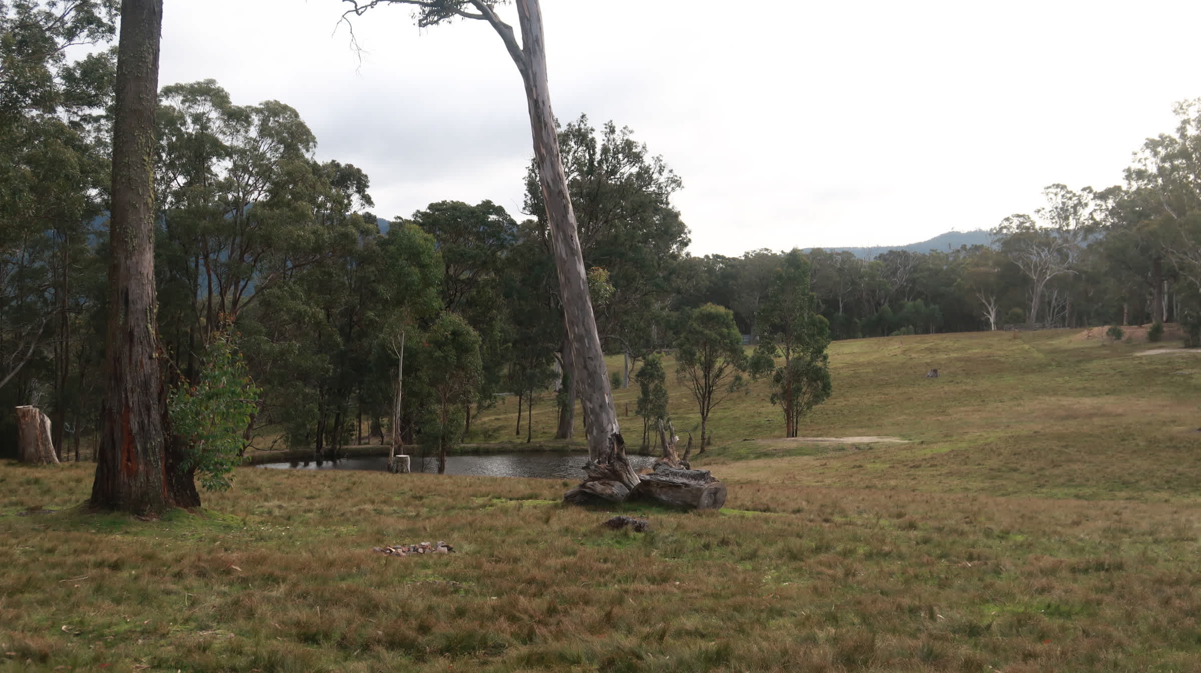 Megalong Valley Farm