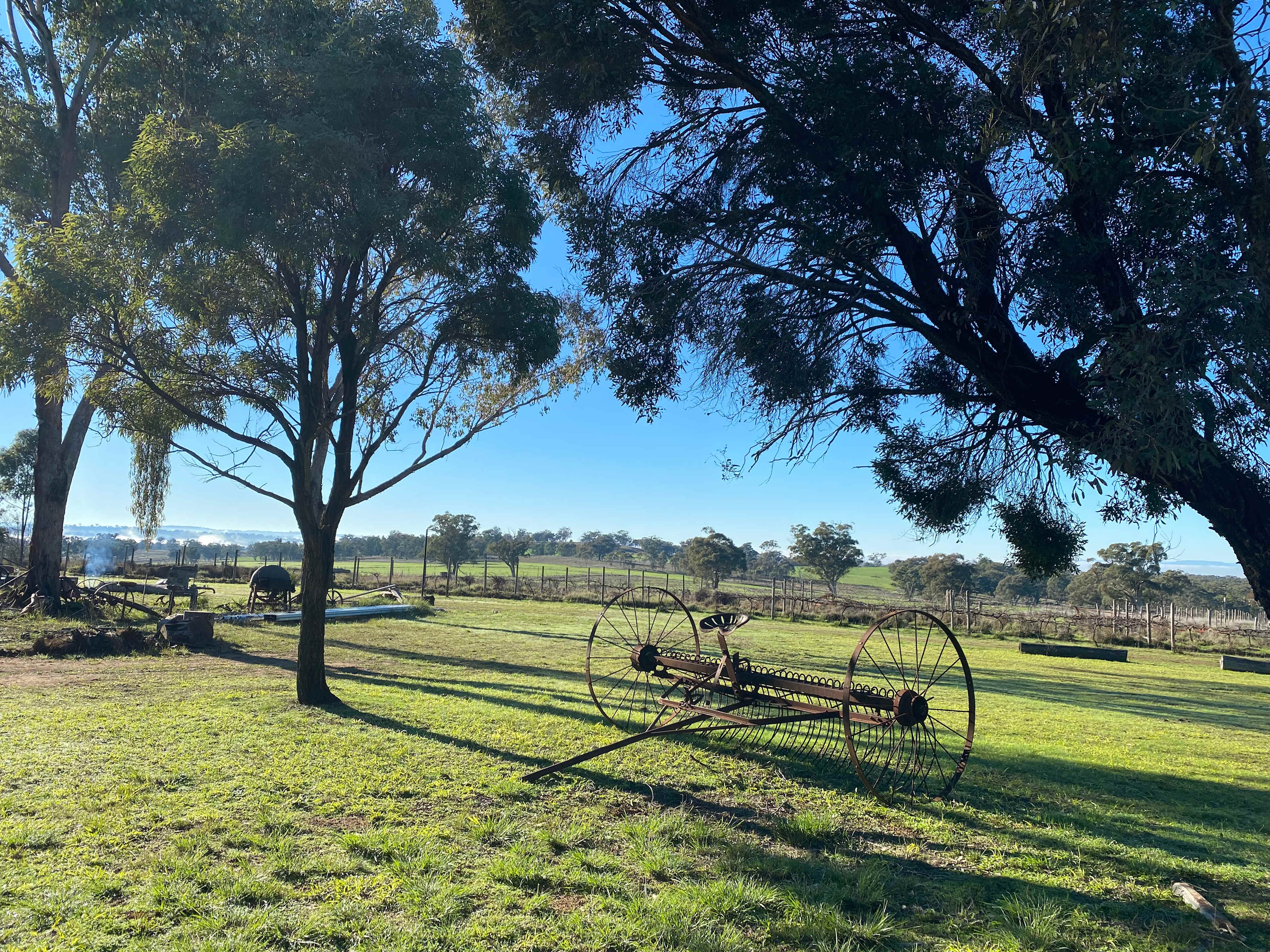 Maalaabidi Naturist Farm Stay