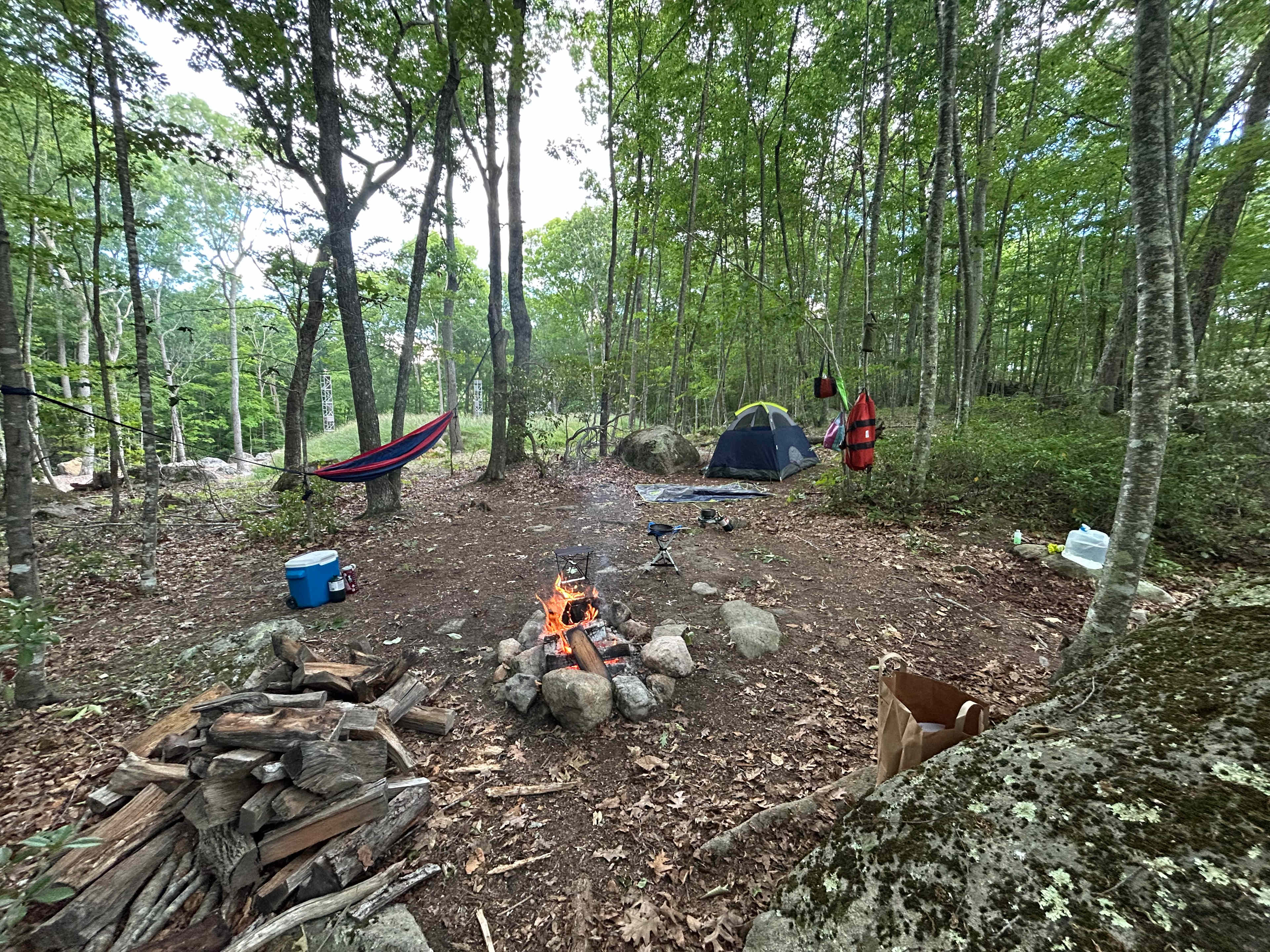 Site 2