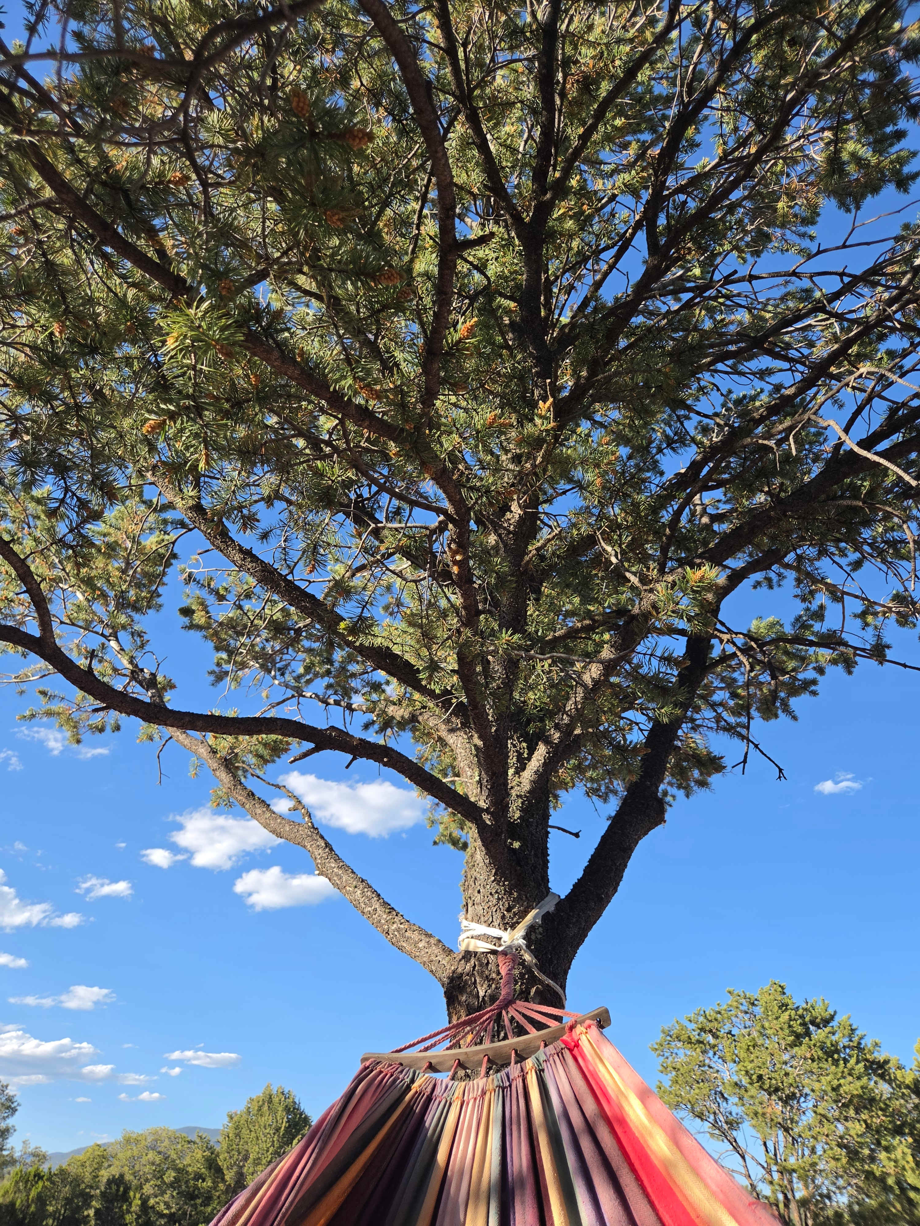 Santa Fe Treehouse Camp & Wilderness Preserve