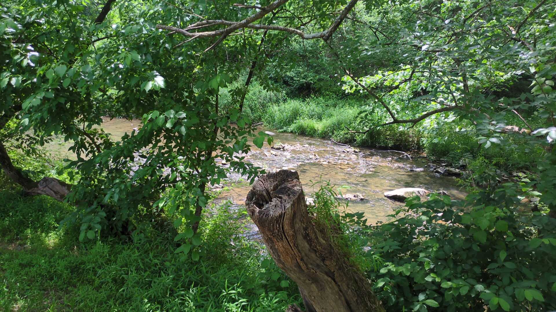 Creekside Orchard