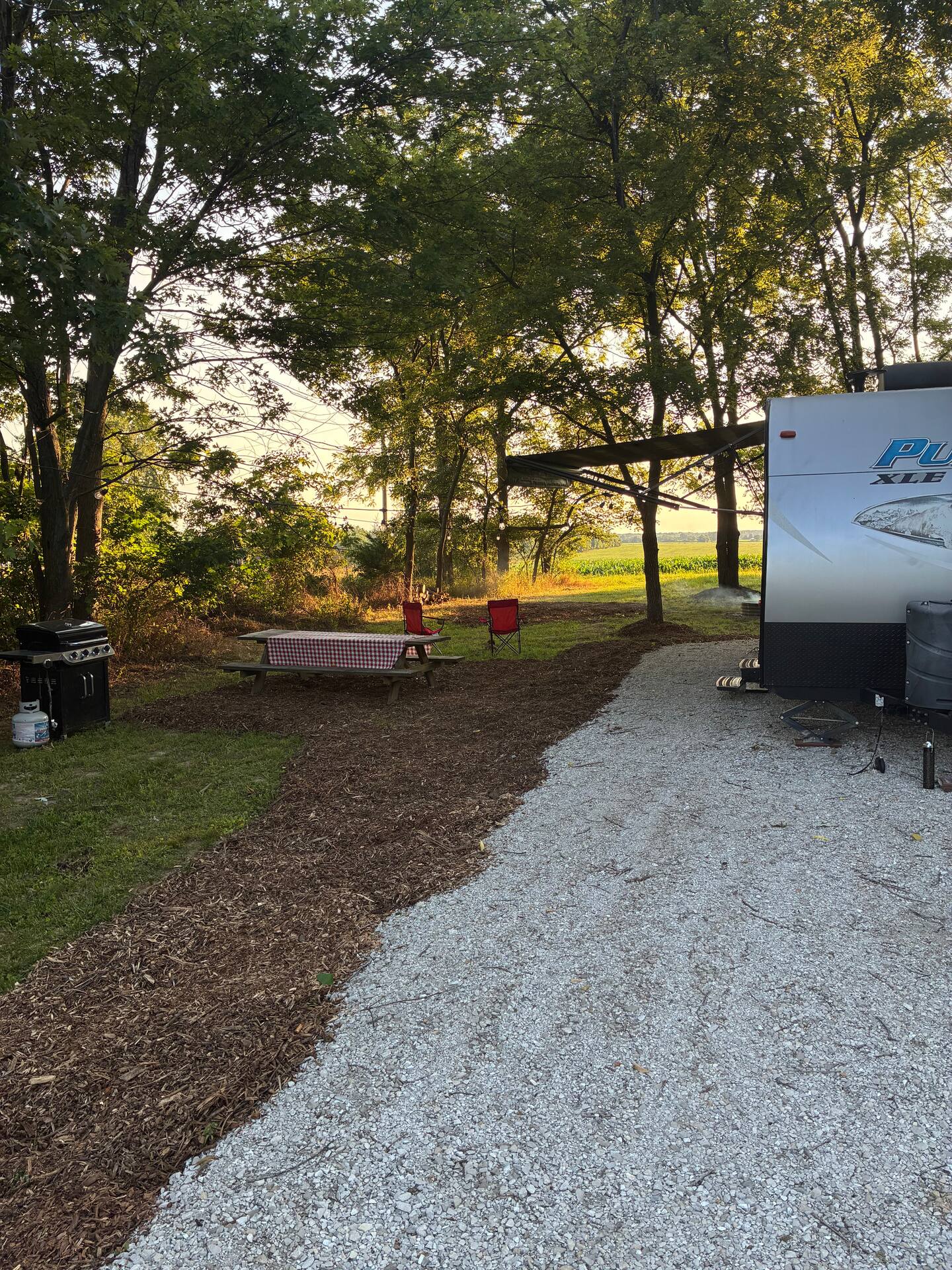 Picture of the site