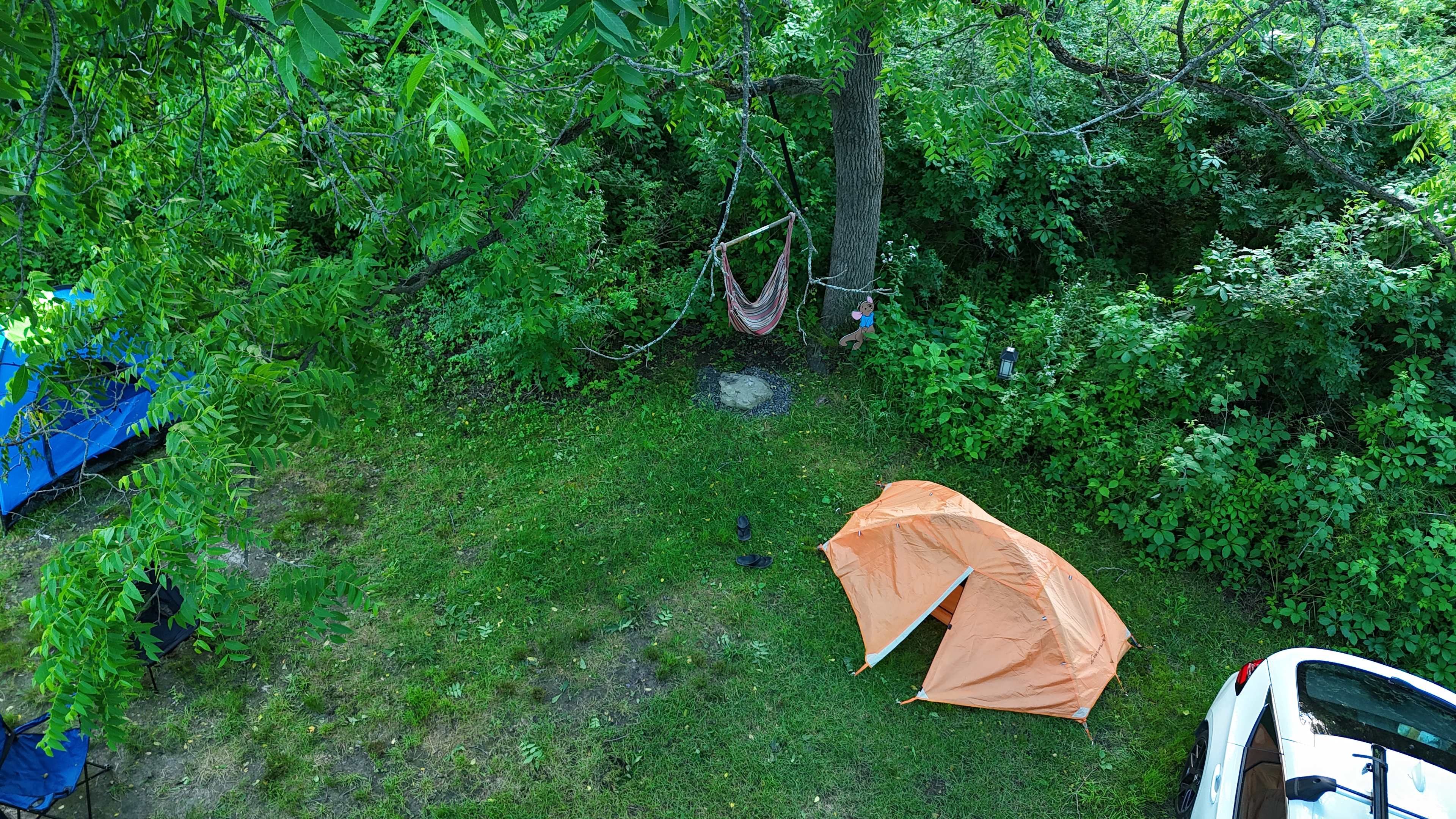 Pooh’s Corner