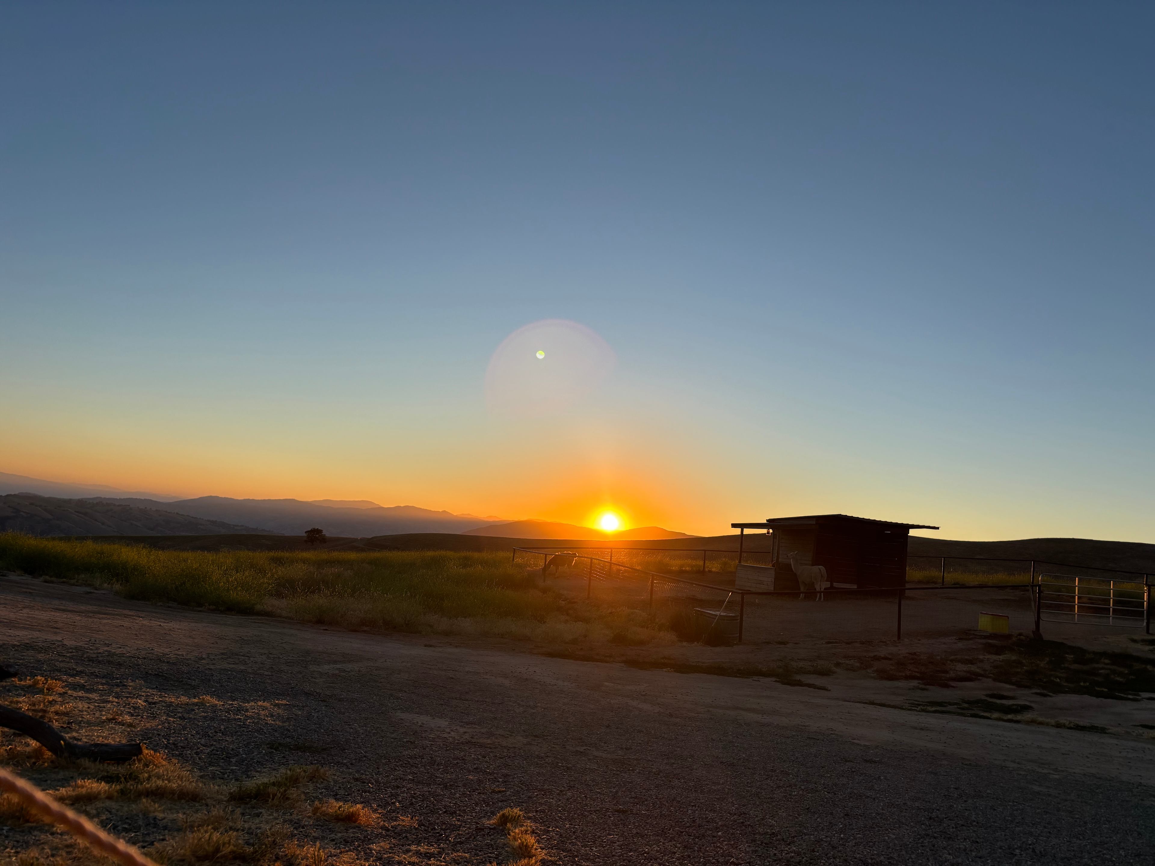 Lone Juniper Ranch
