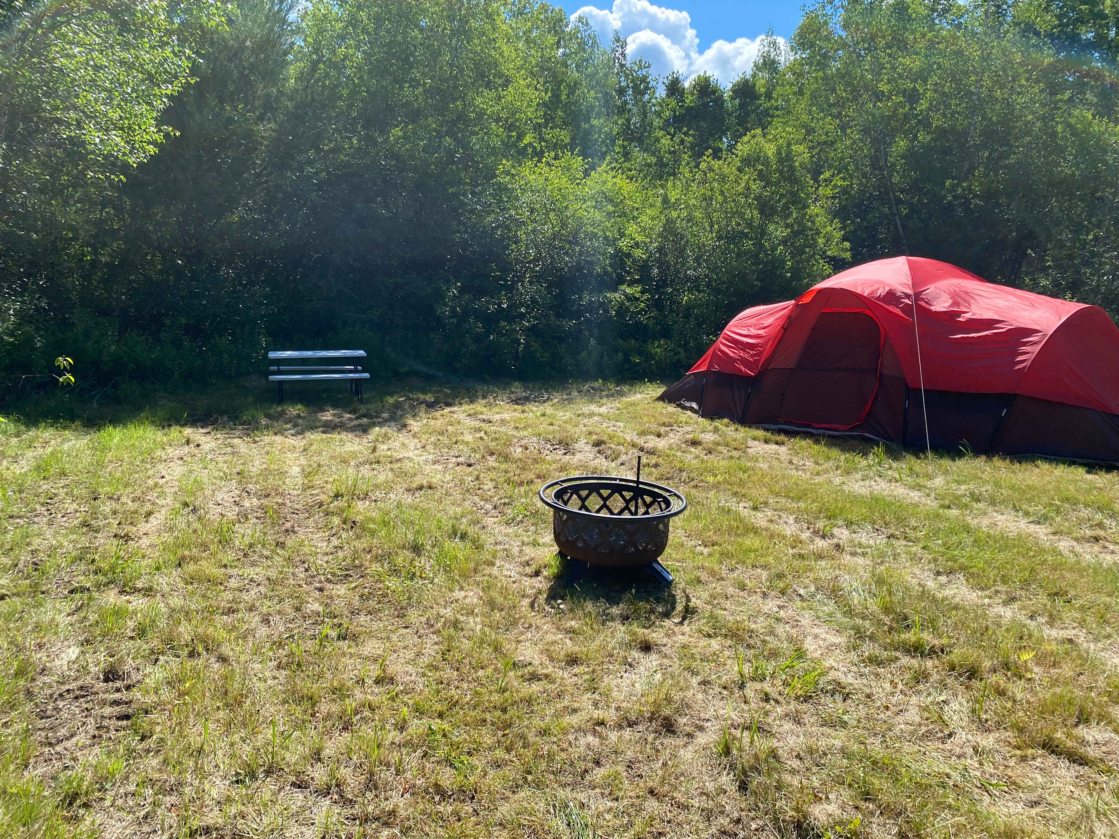 Picture of the site
