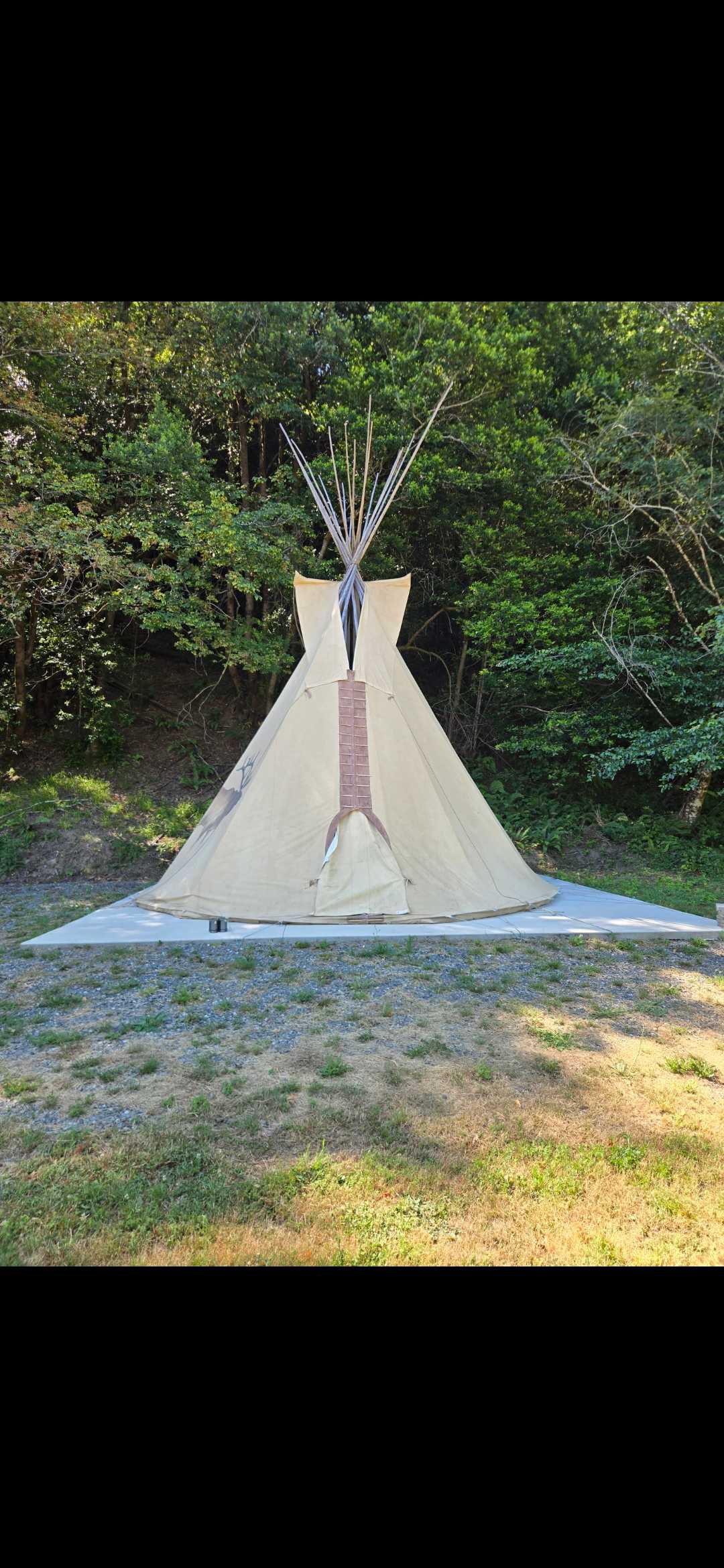 Picture of the site