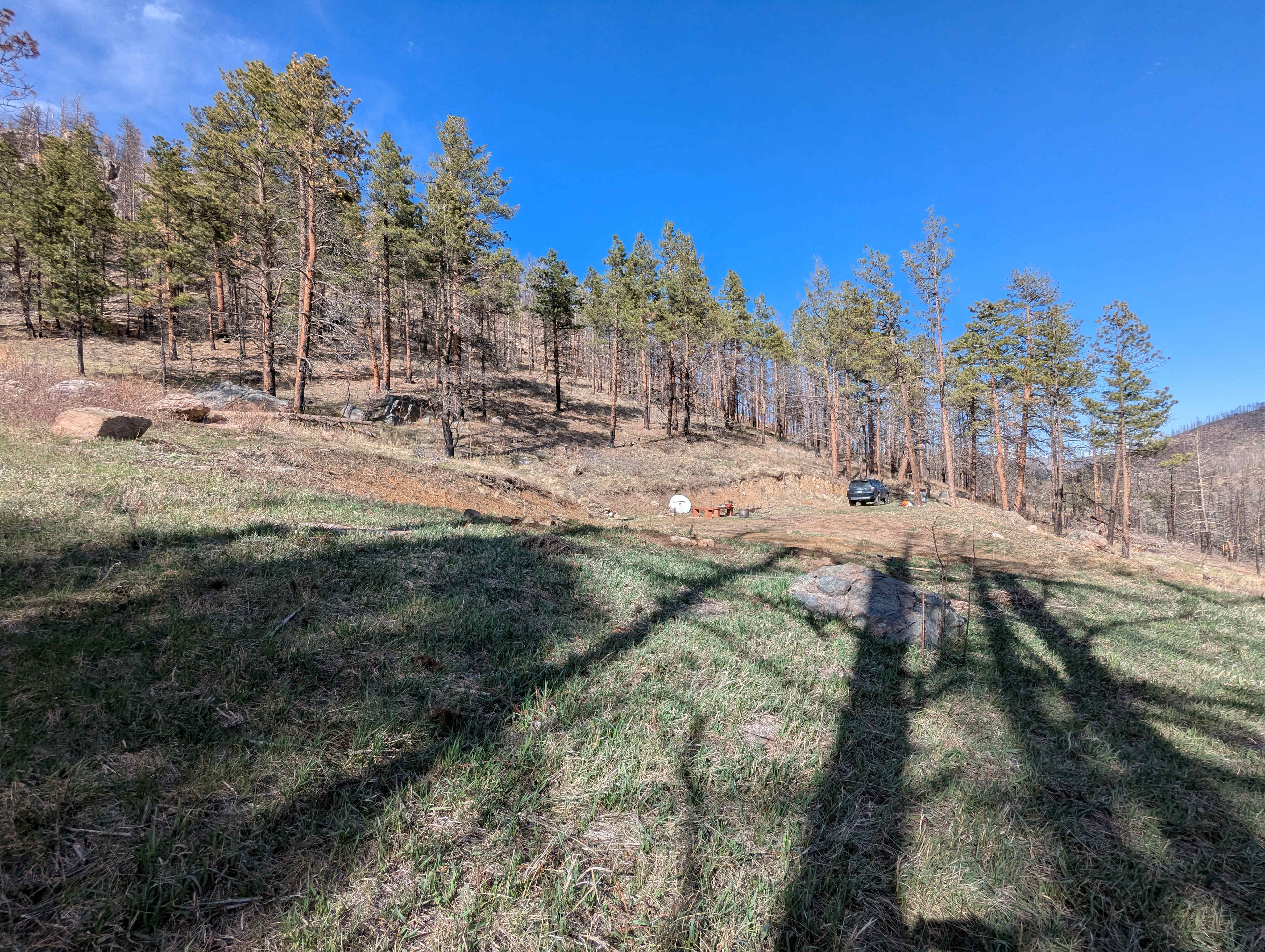 Picture of the site