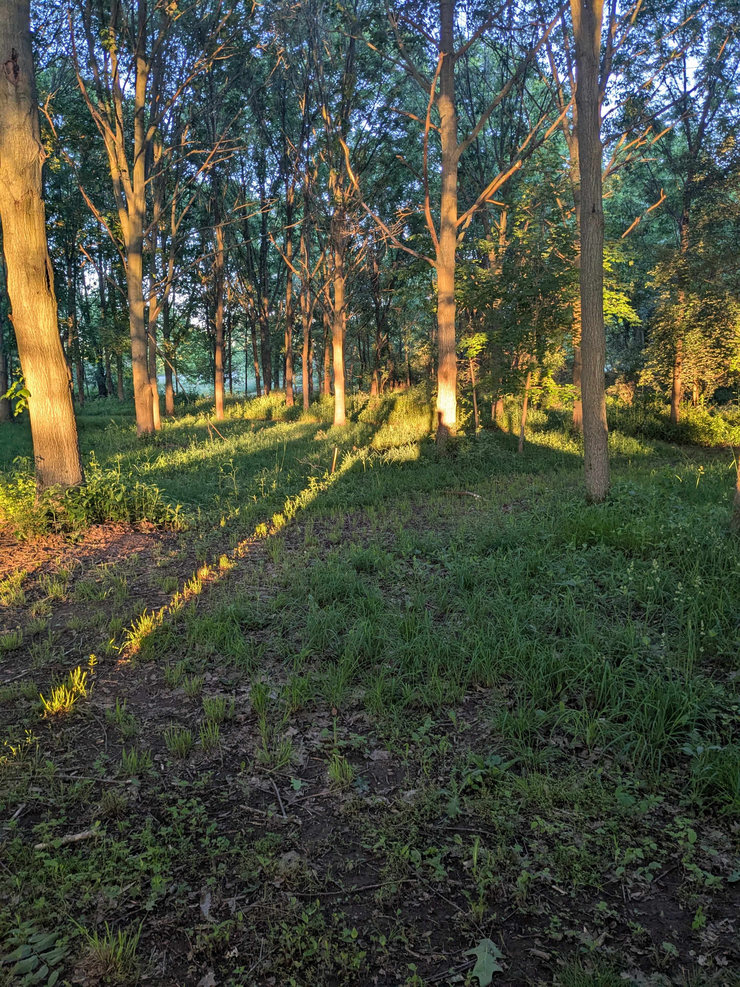 White Pine Farm HipCamping