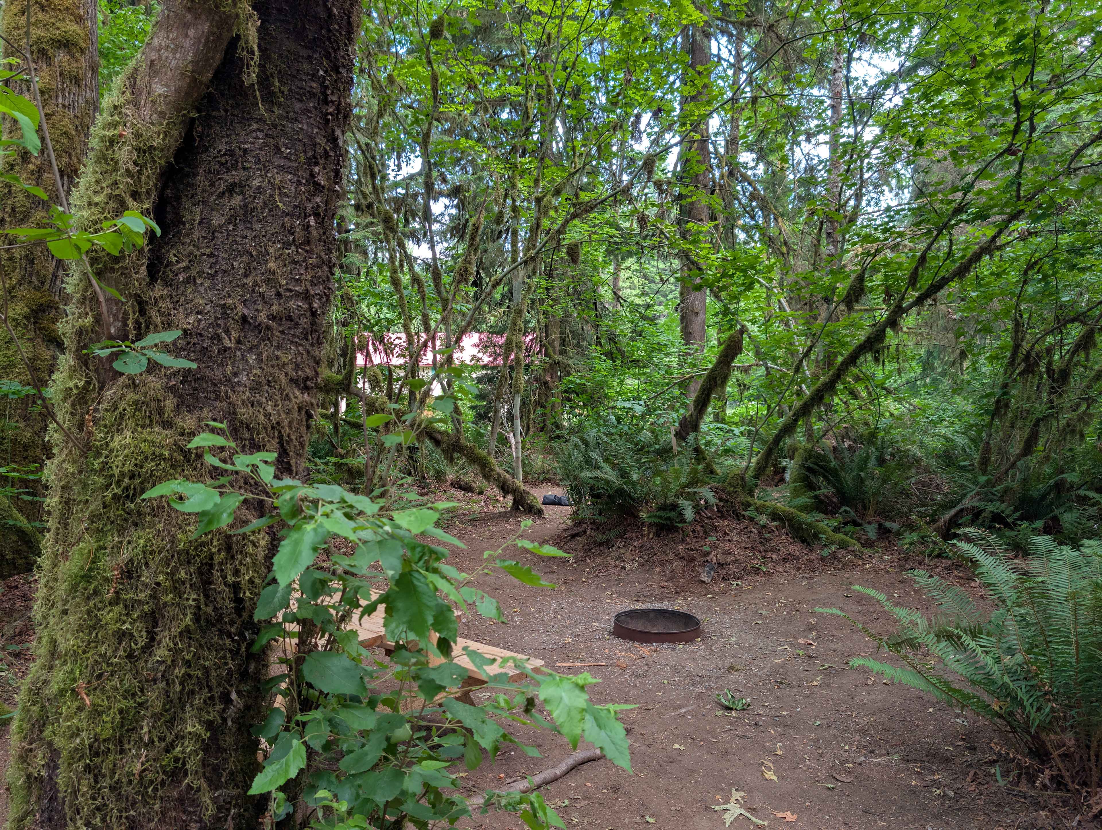 Hideaway cedars campground