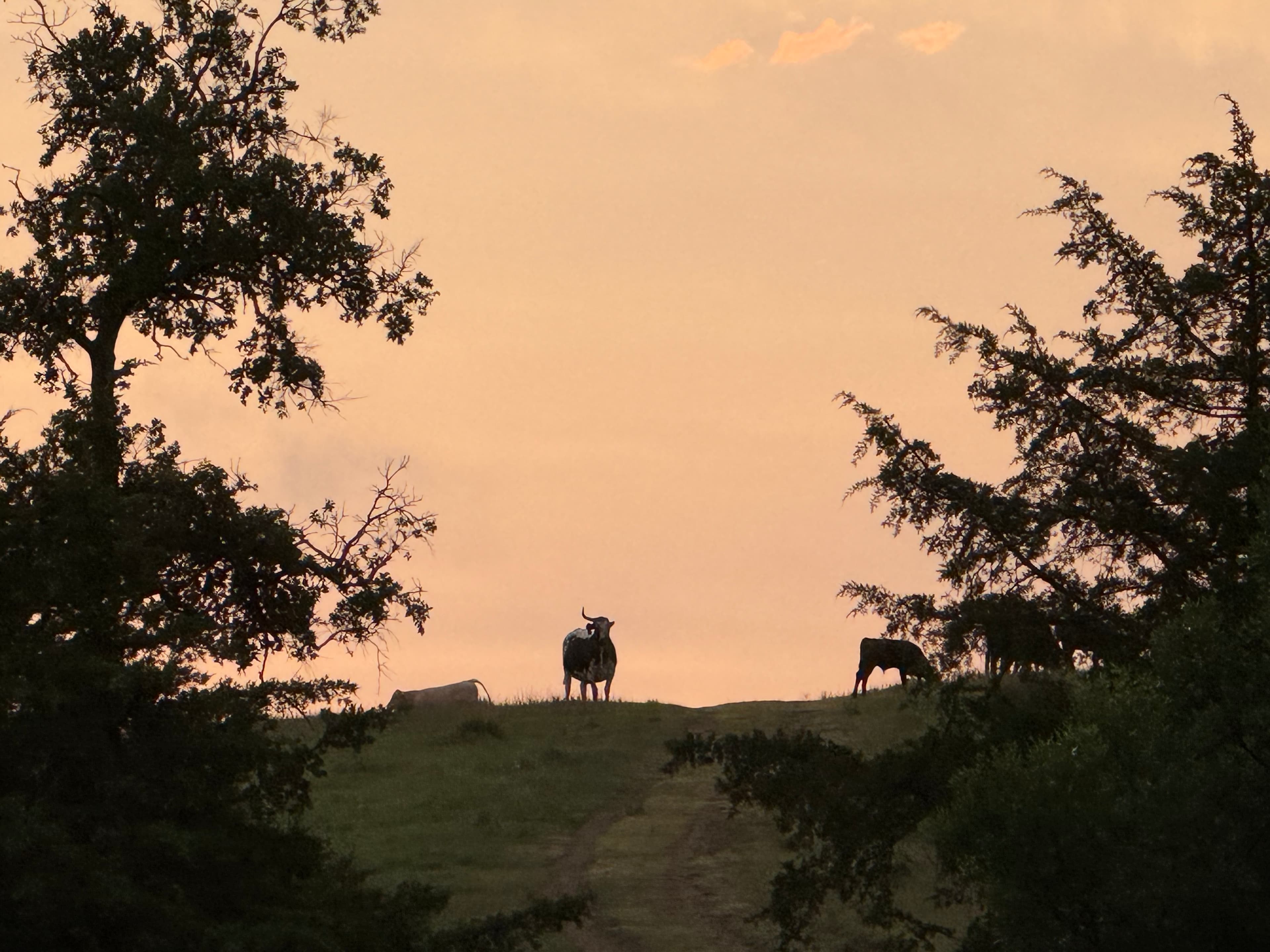 C2T Ranch on the Saline River