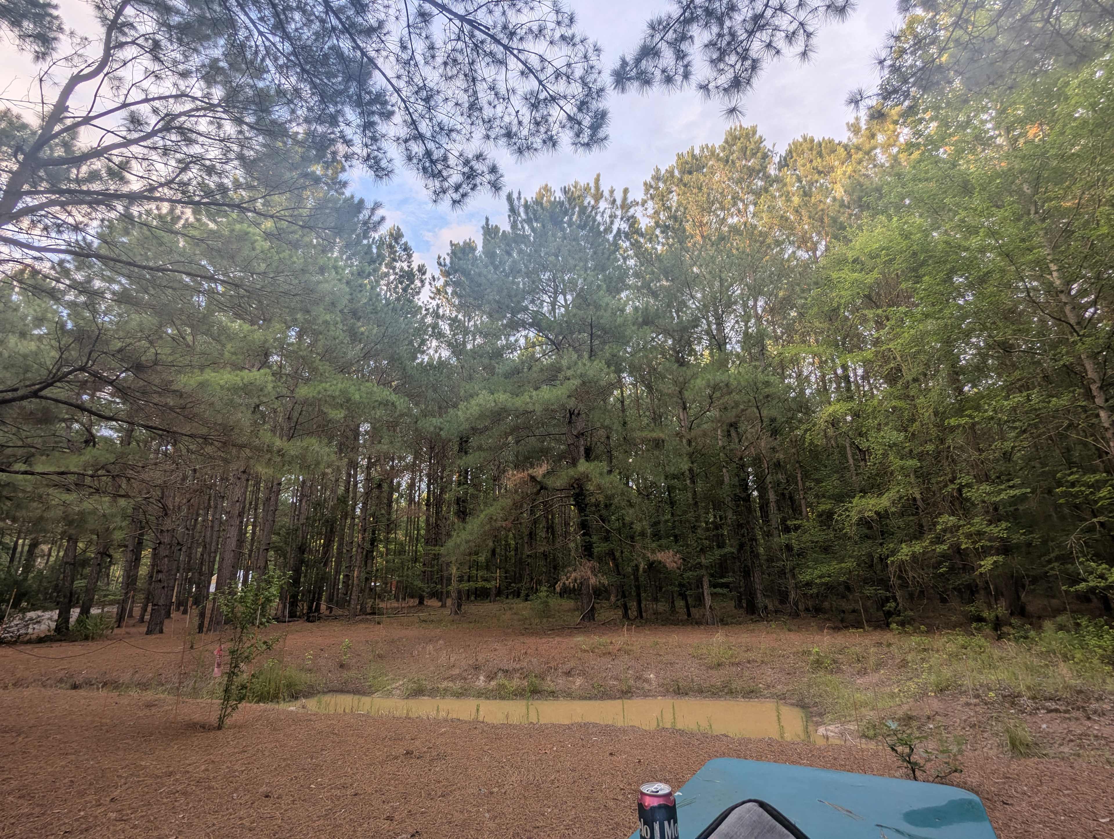 Cedar Creek Campground at Elease