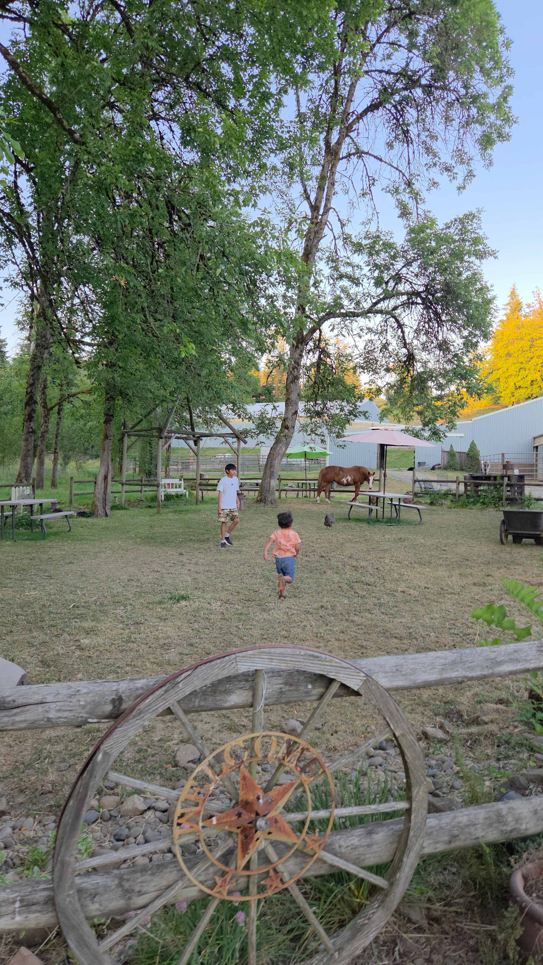 Lots of interaction with her lovely horses