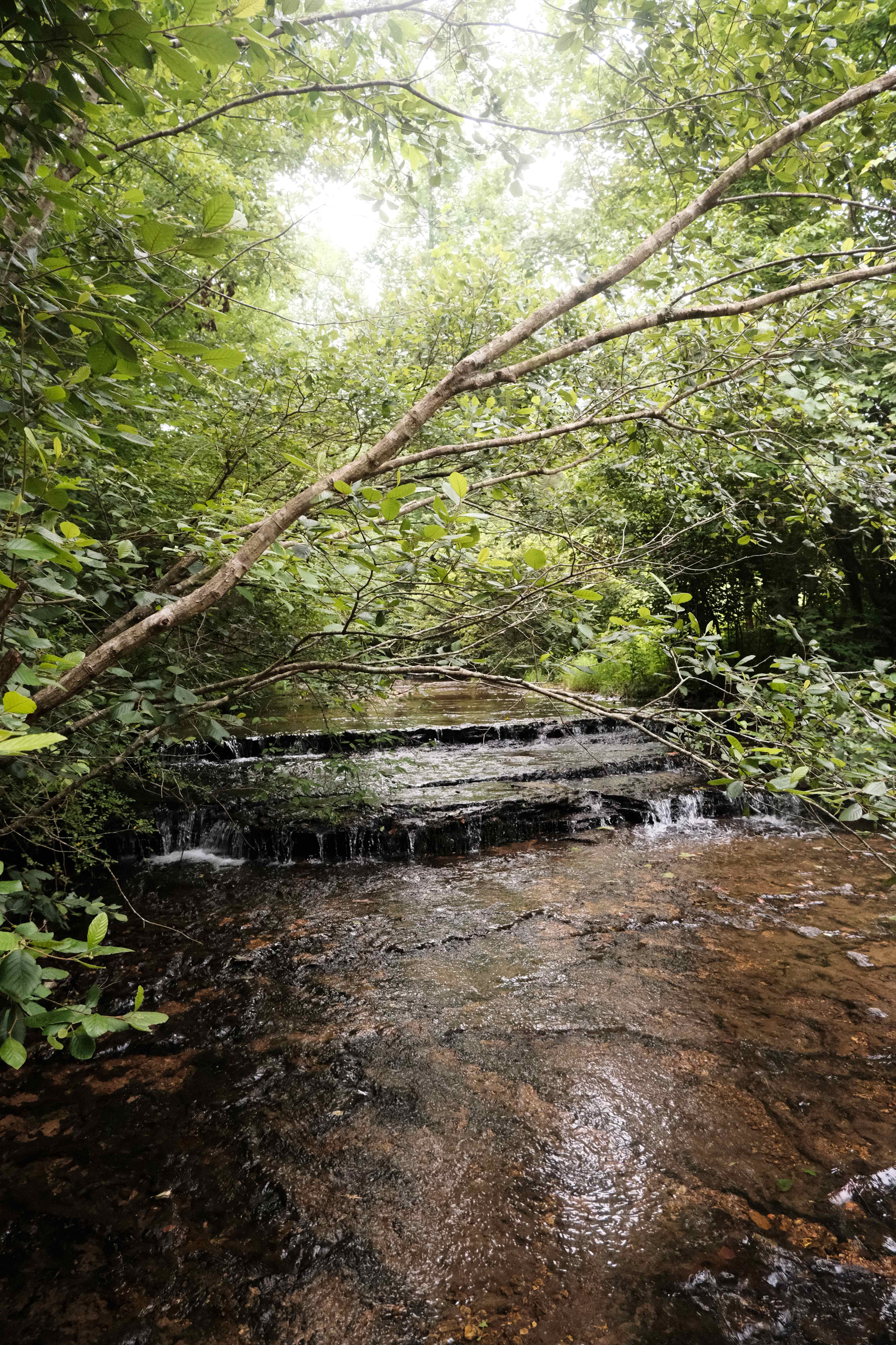 Creek