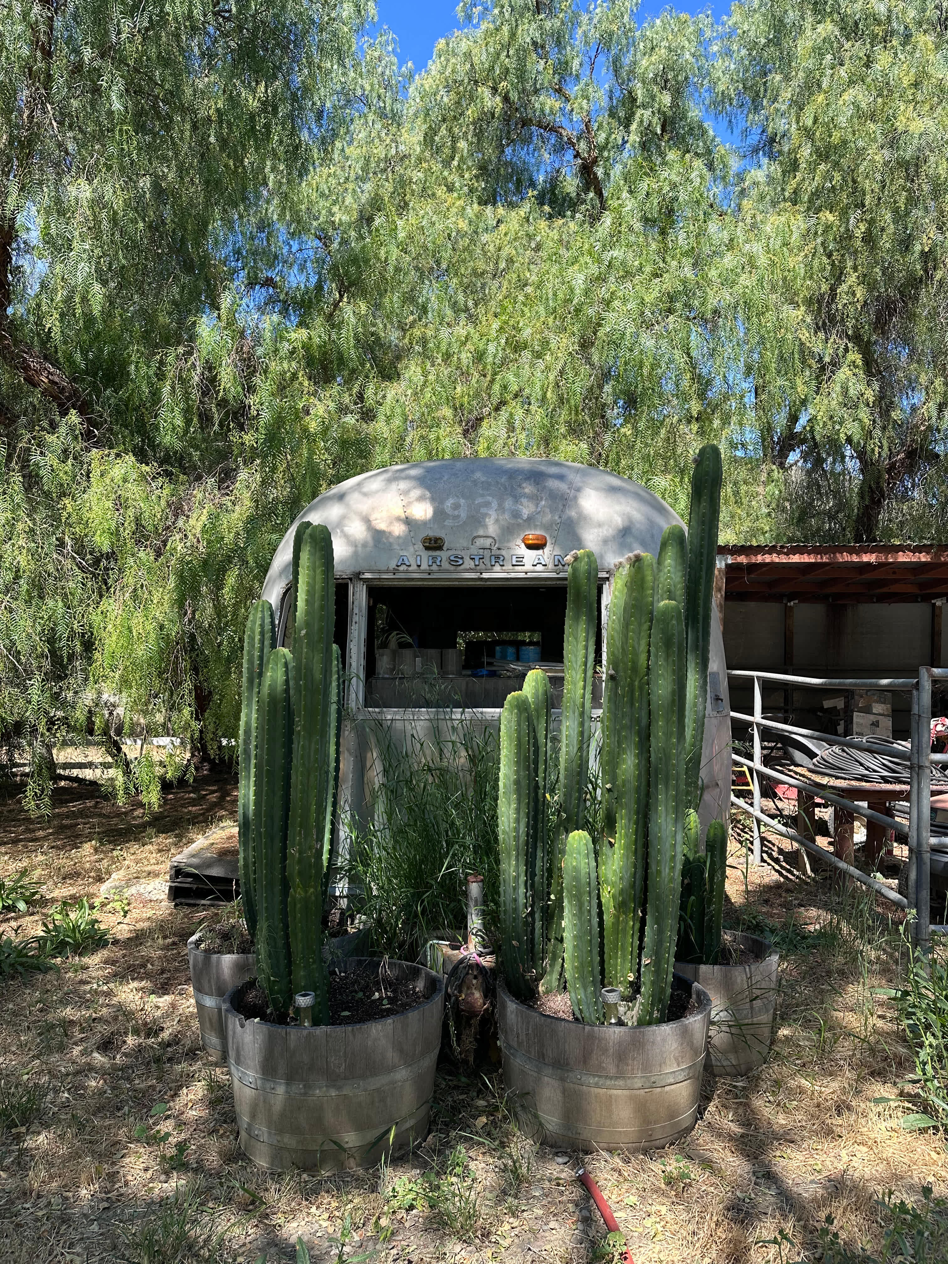 Freedog Farms @ Cactus Flower Ranch