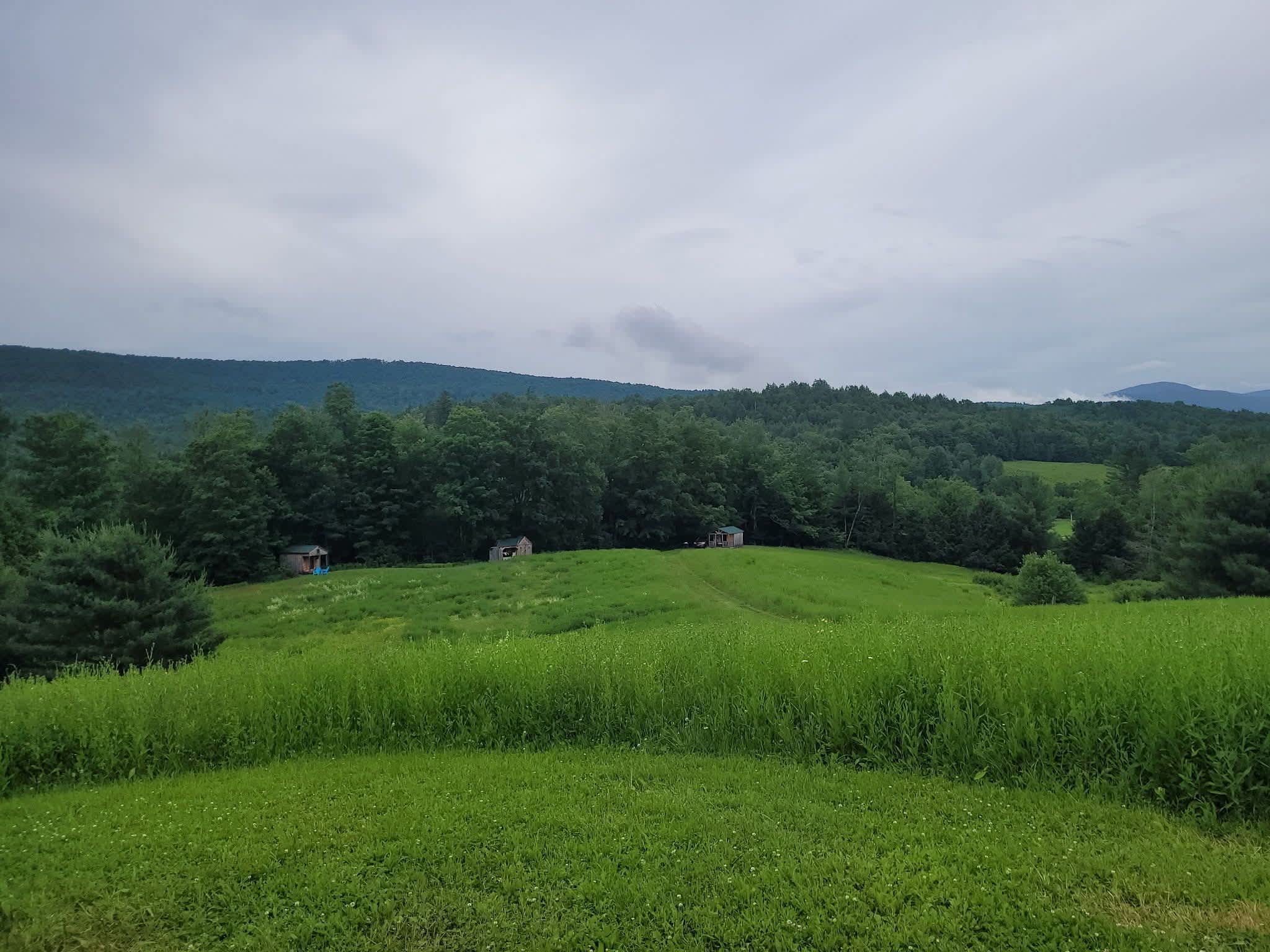 Black Creek Maple Off Grid Camp