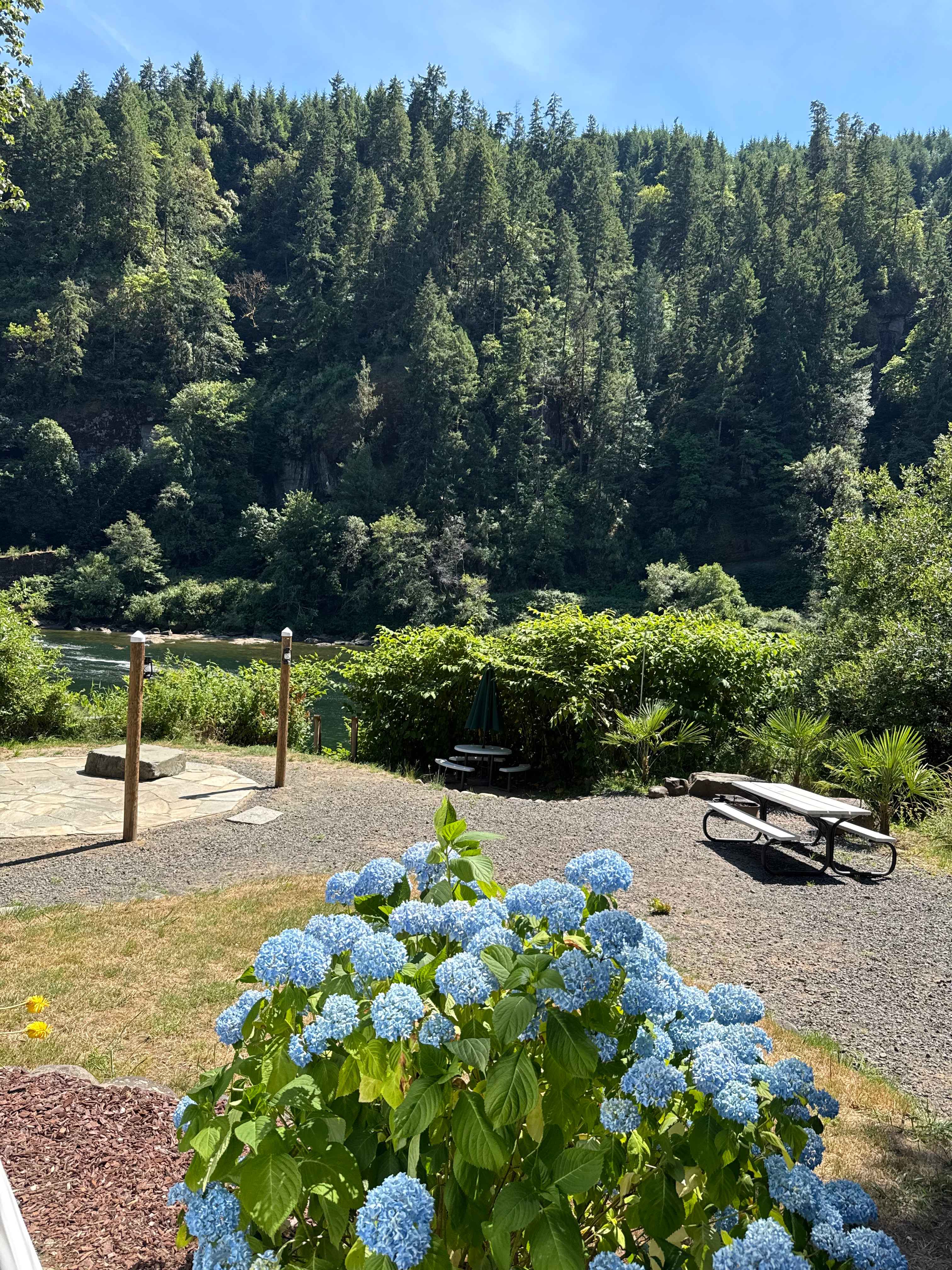 Tide's Reach of the Umpqua