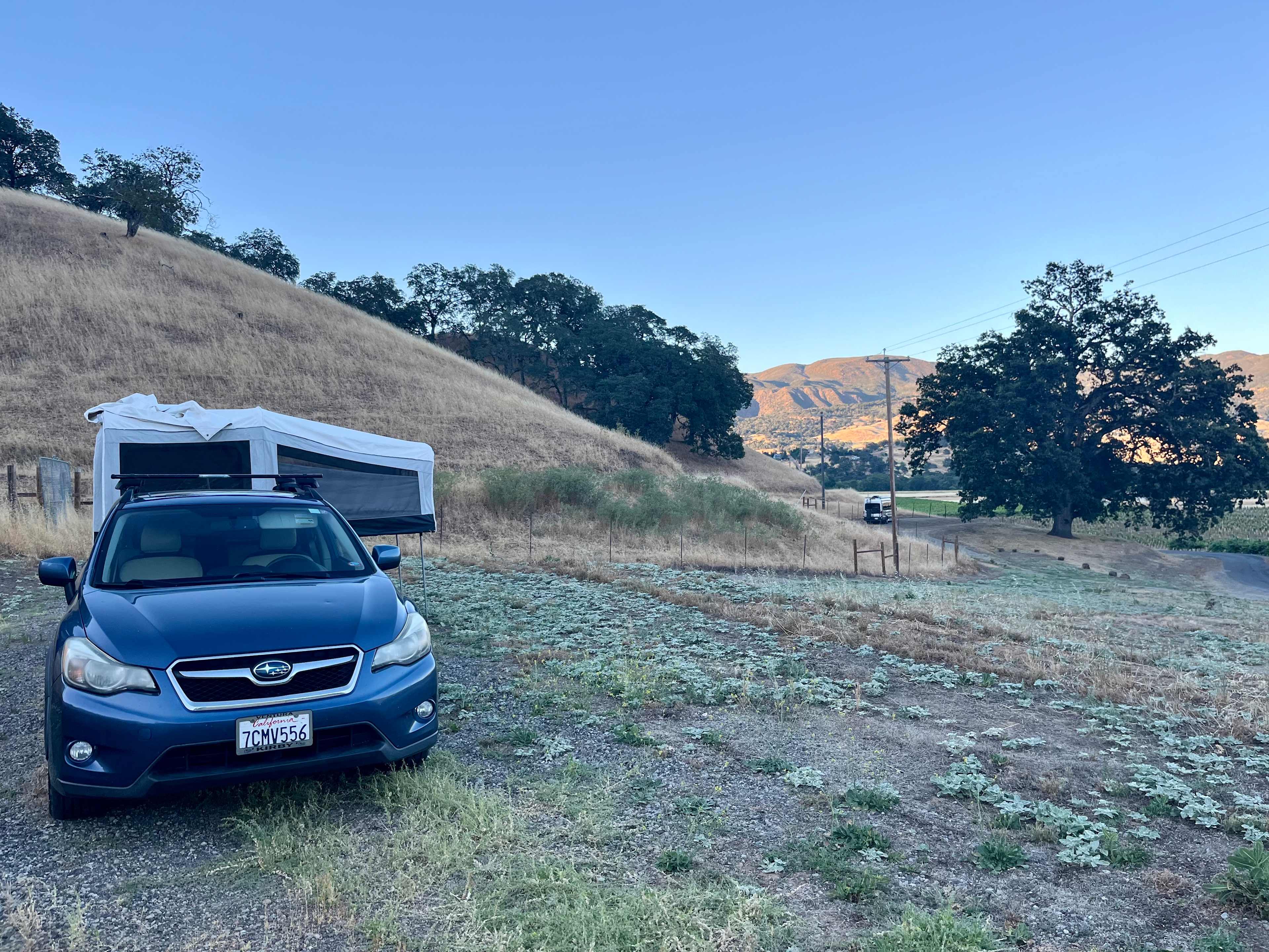 Nelson Family Vineyards