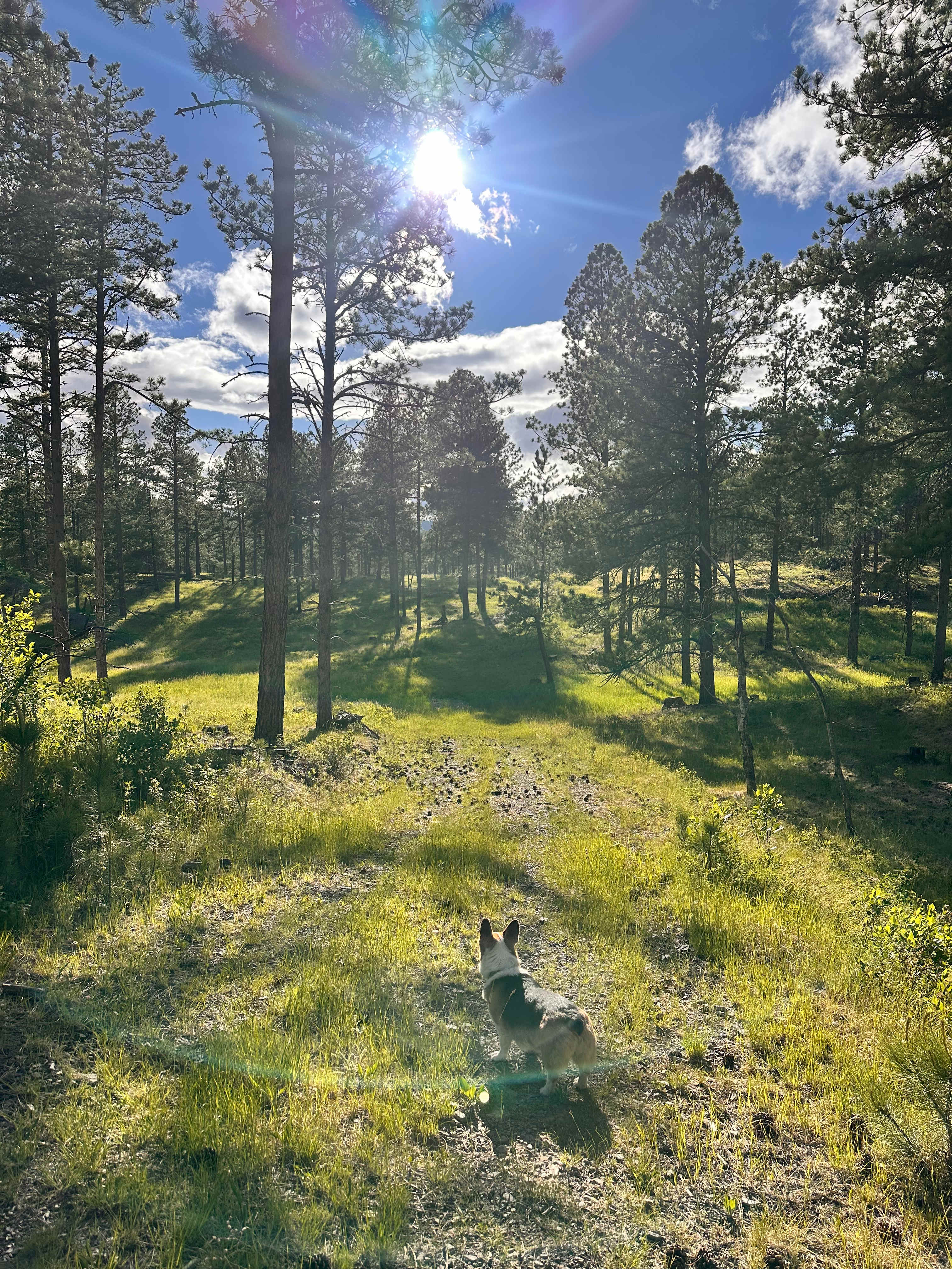 Horse Creek Resort RV Sites