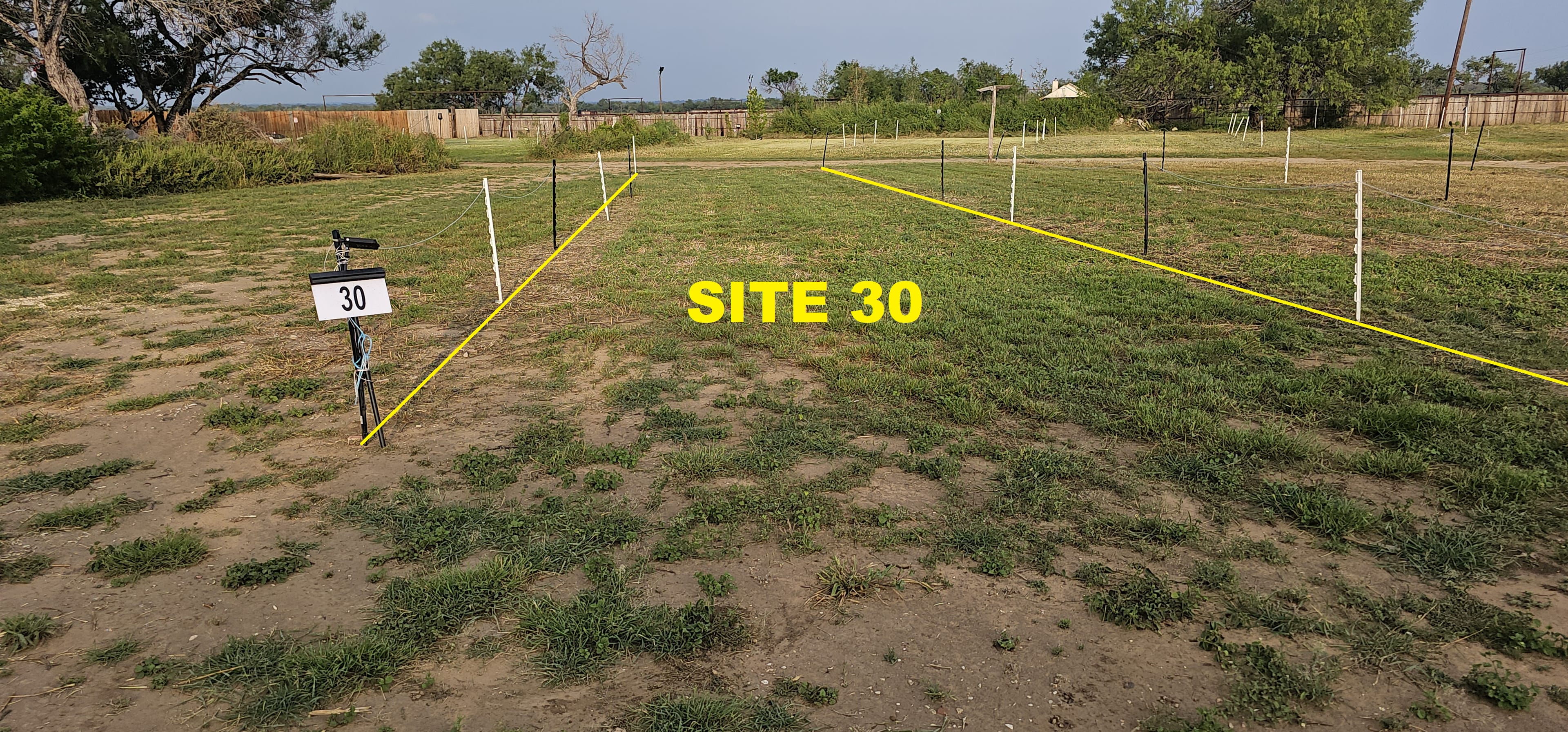 Picture of the site