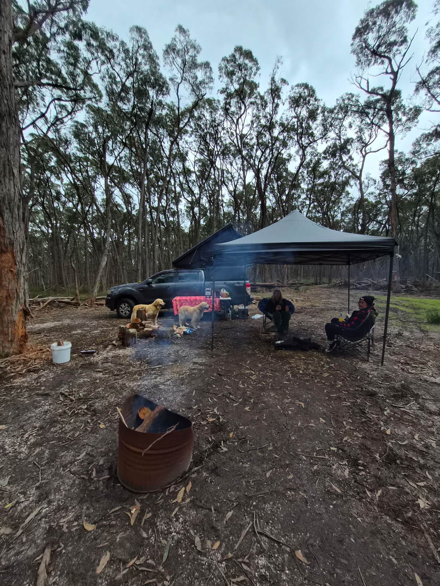 Picture of the site