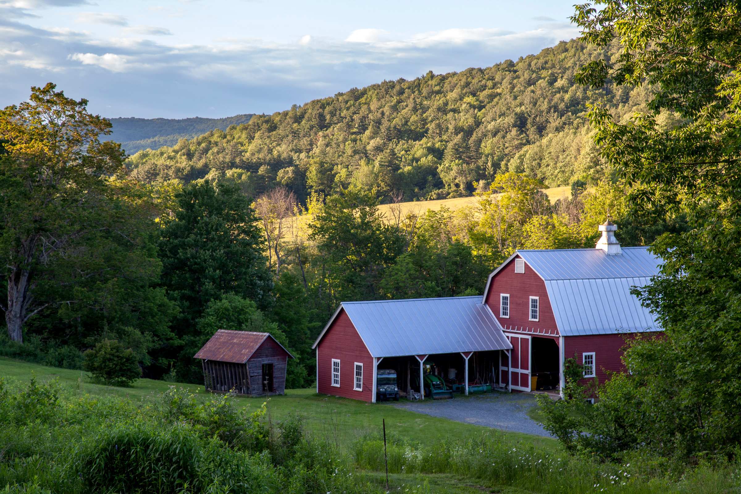 Wooded Farm Land