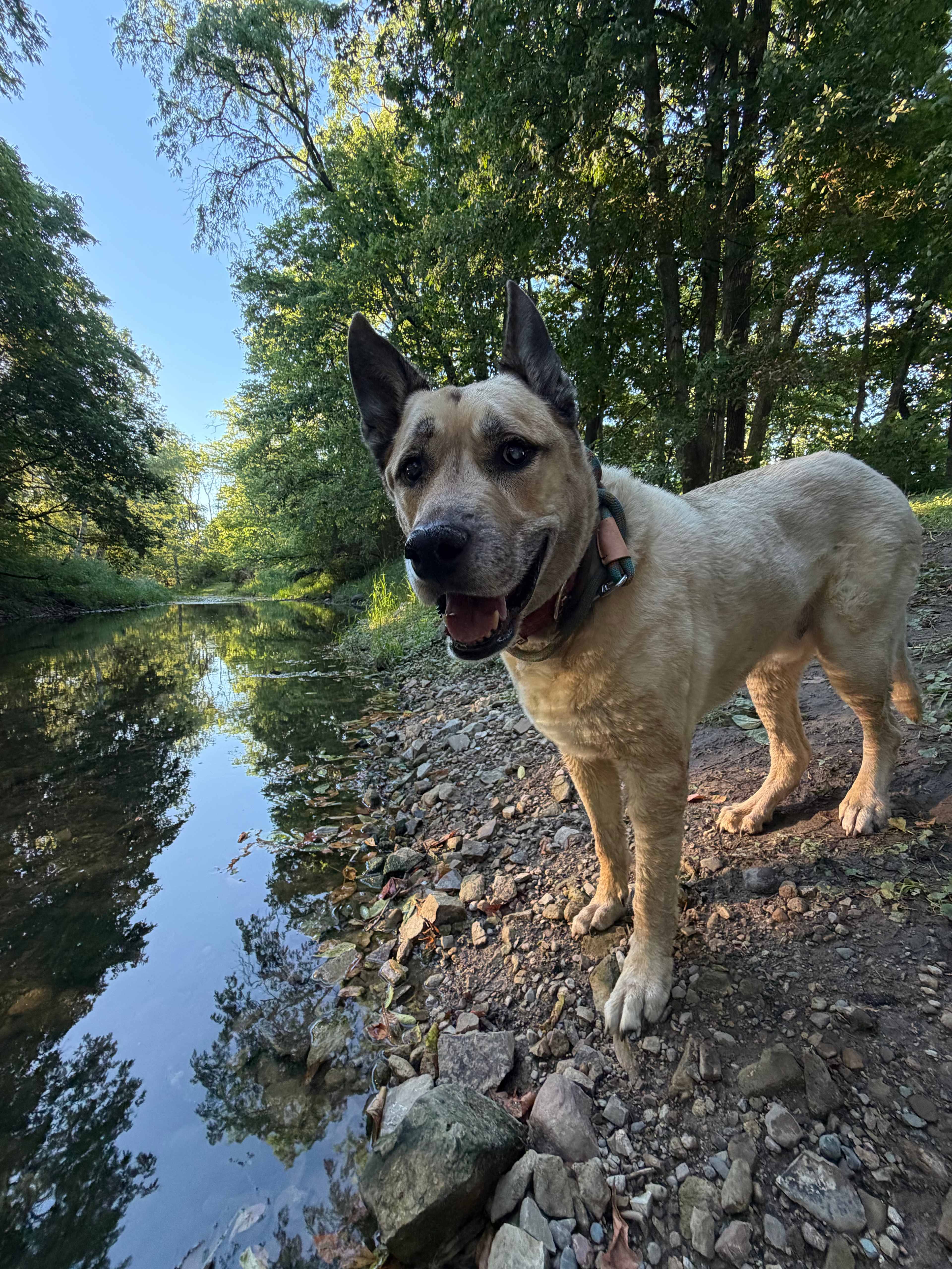 Rusty's Retreat with pond and river