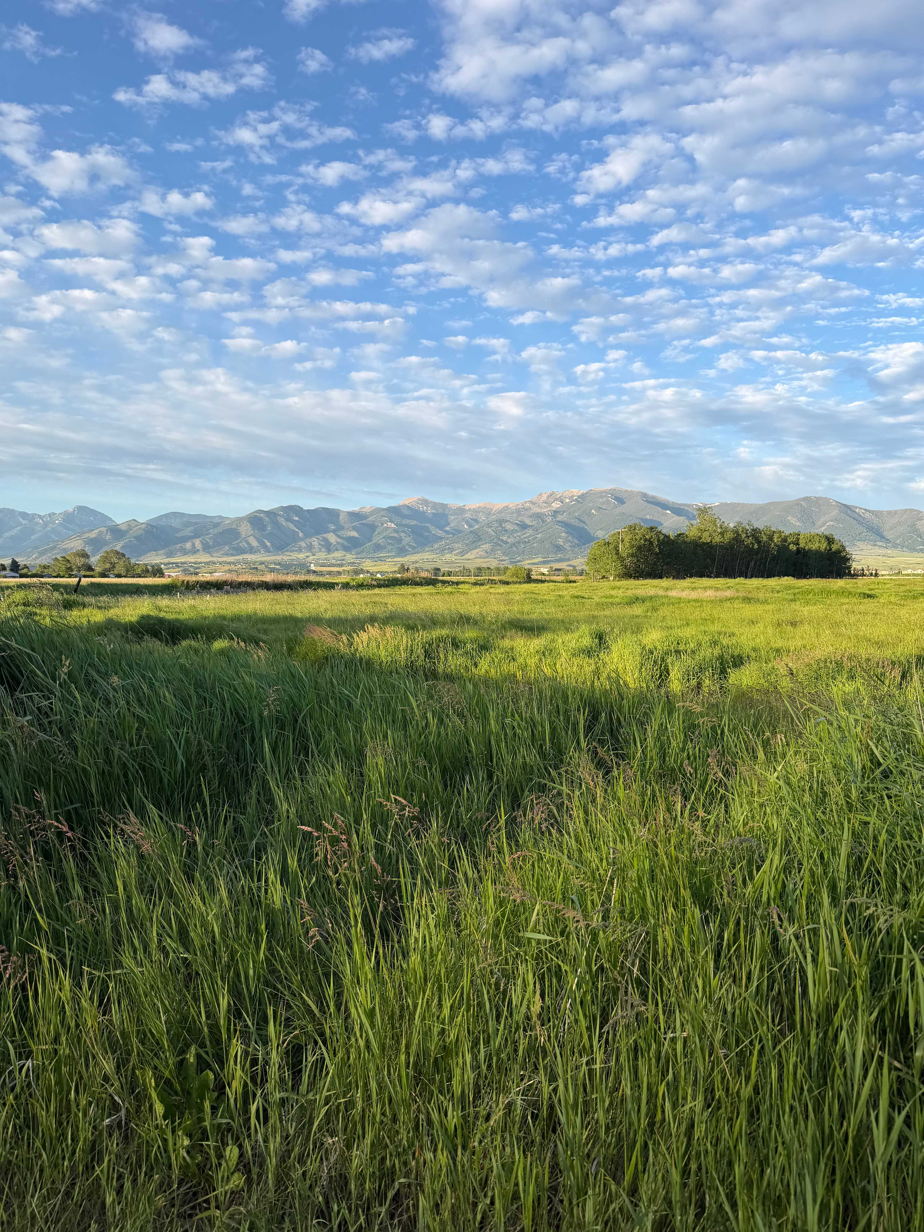 Creekside at Liberty Acres Bozeman