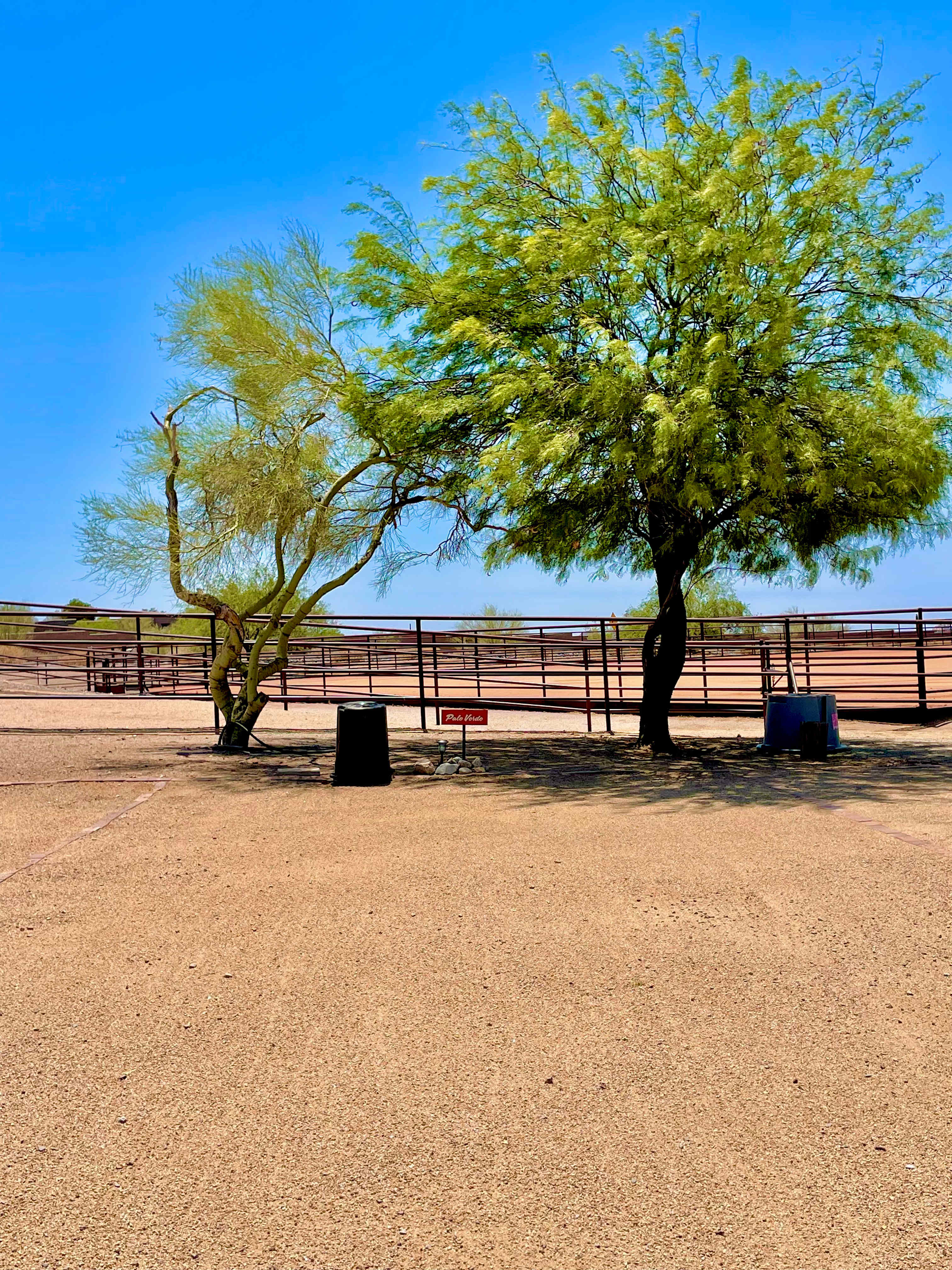 Red Rock Roping, LLC