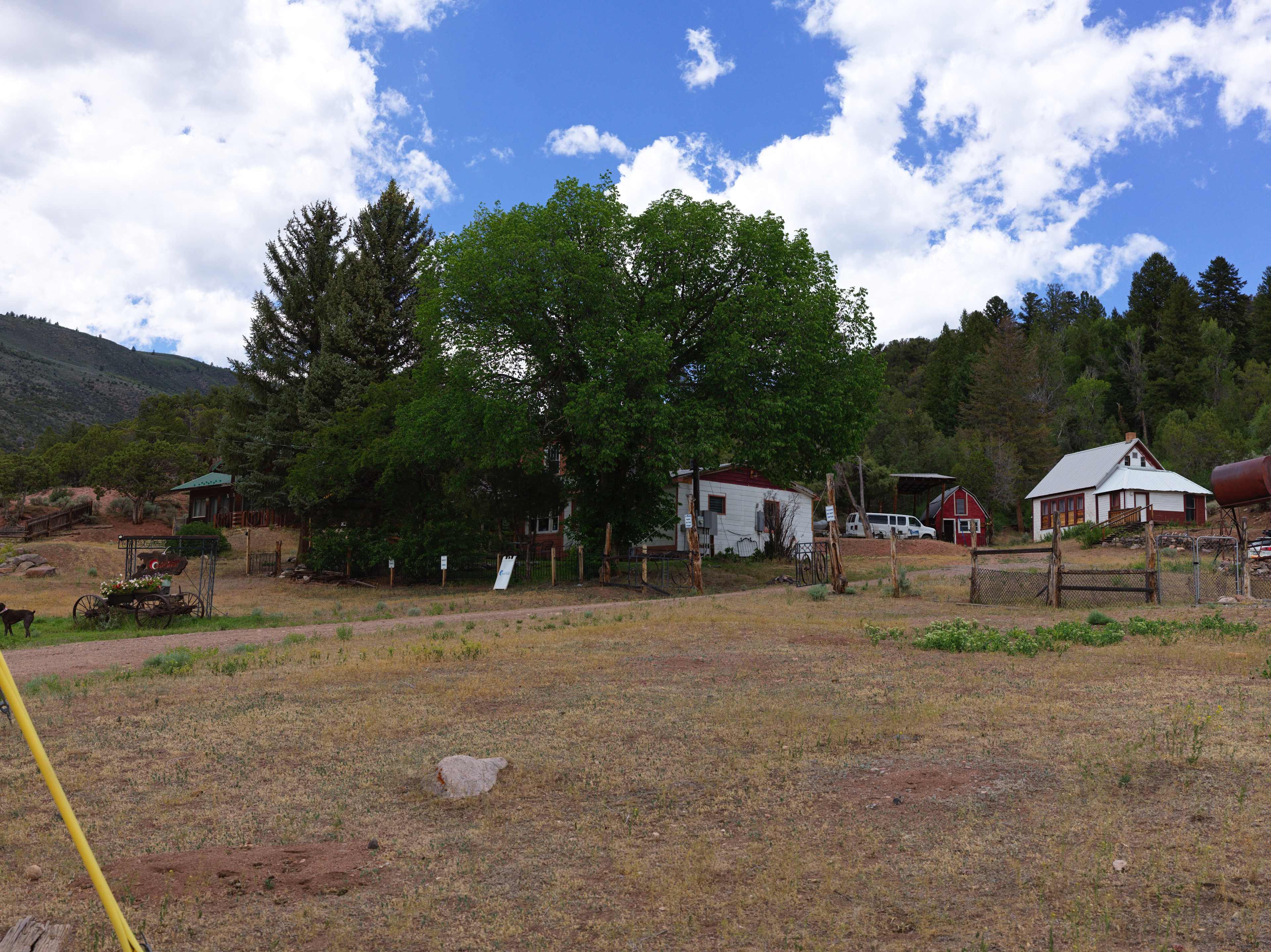 Colorado River Runs in Radium