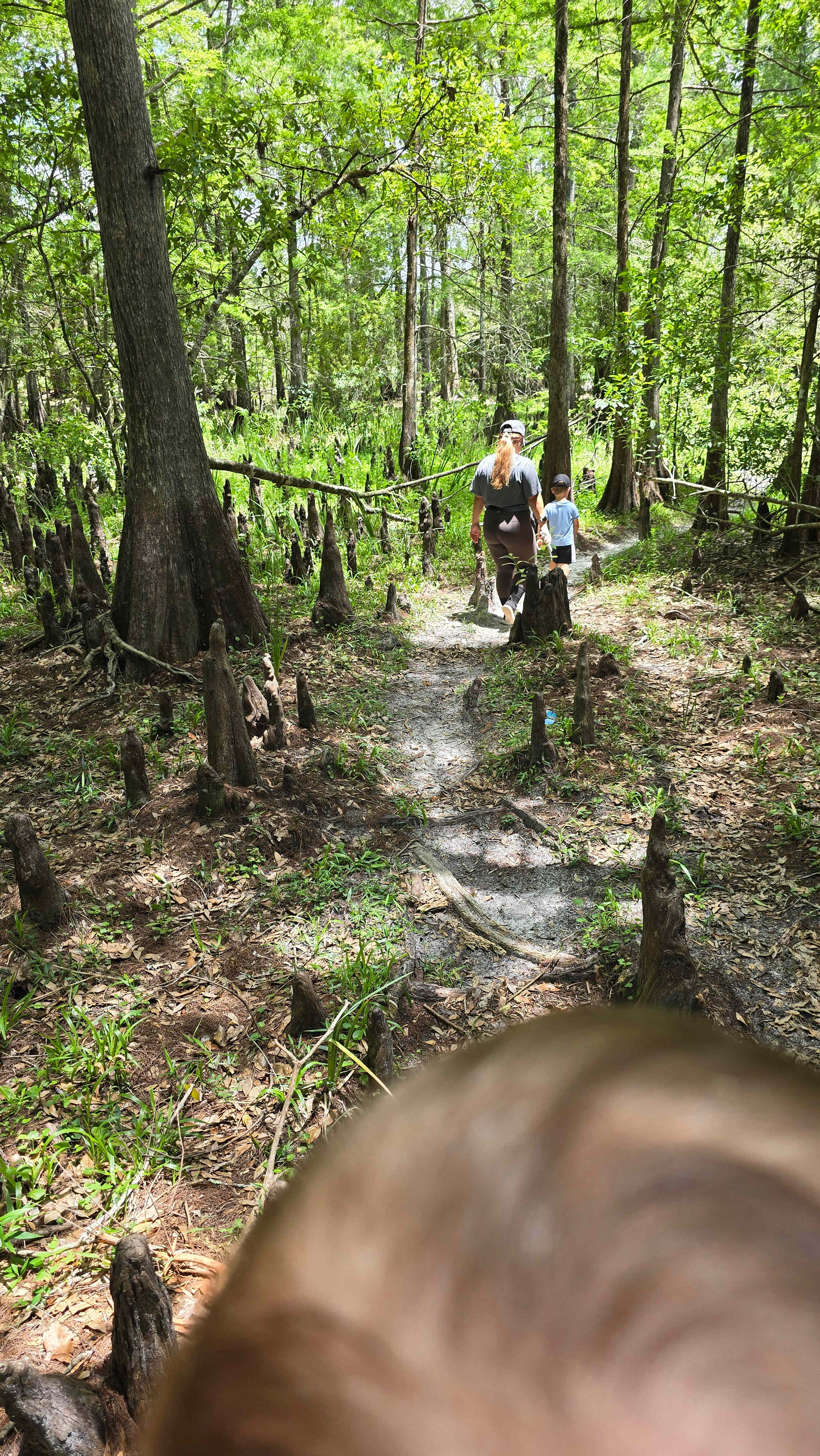 On one of the trails