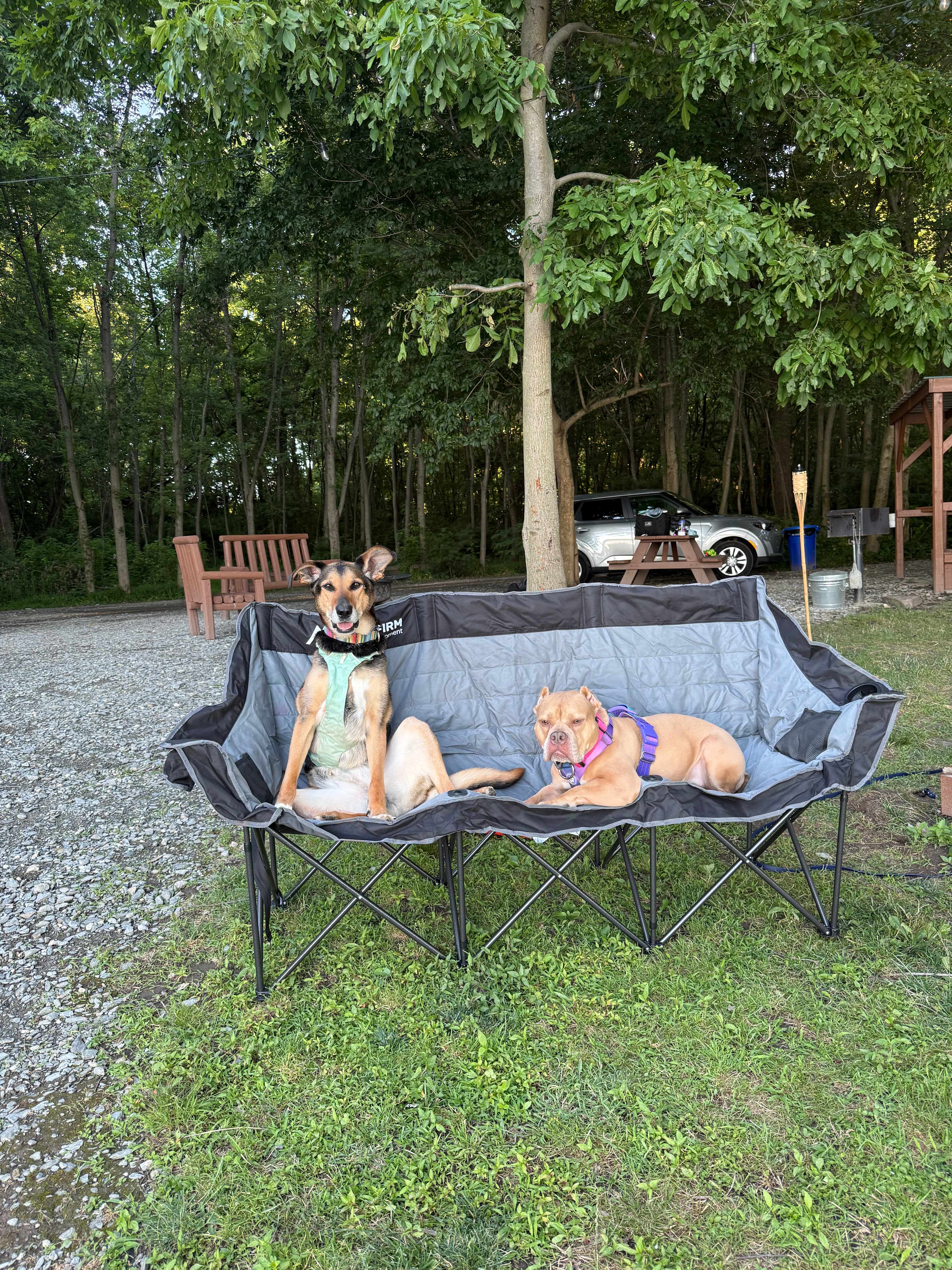 Background: Wooden chairs around the fire (left), picnic table, and edge of camp kitchen on the right.  