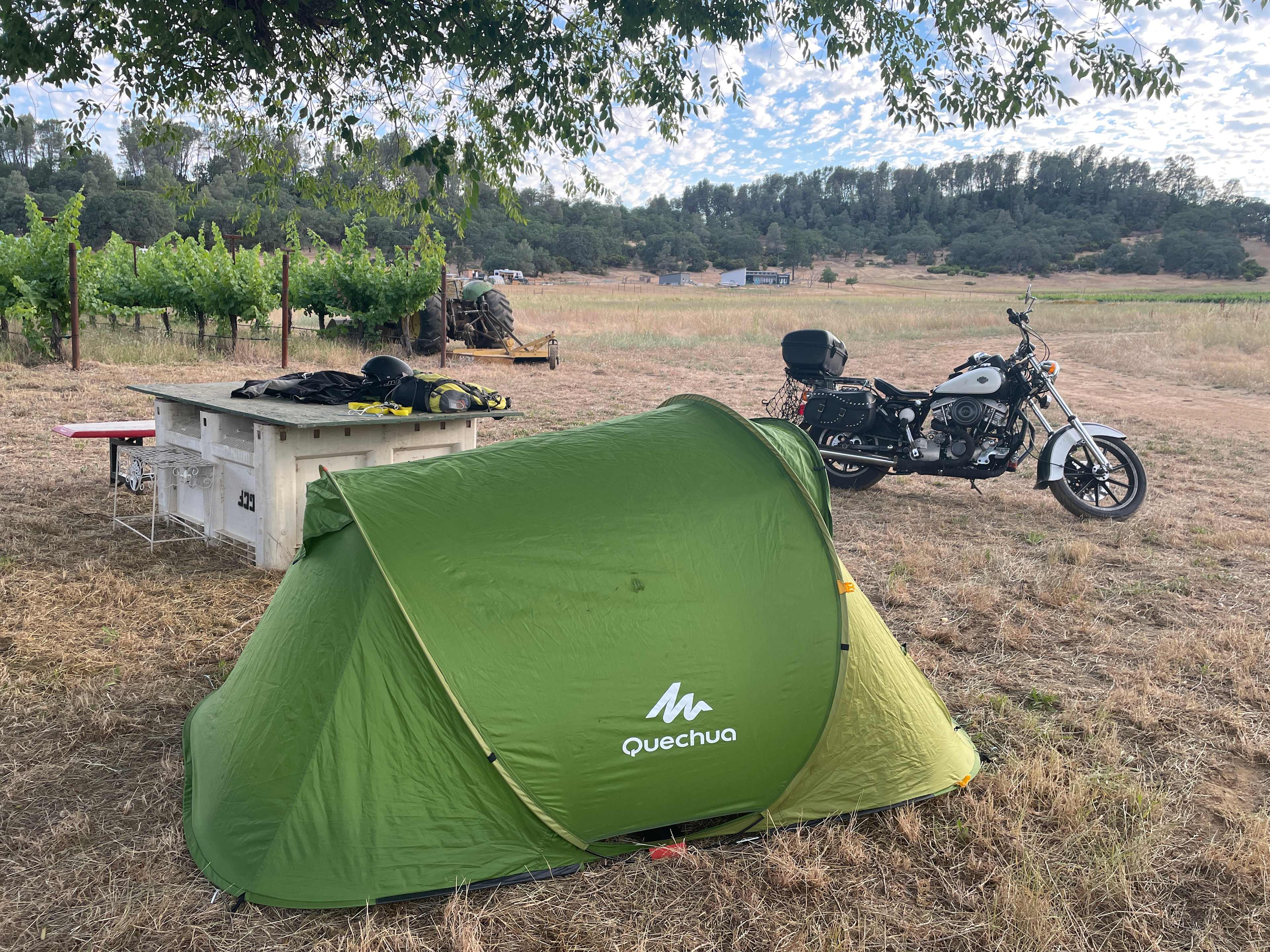 Vineyard Camping at Bad Rat Ranch