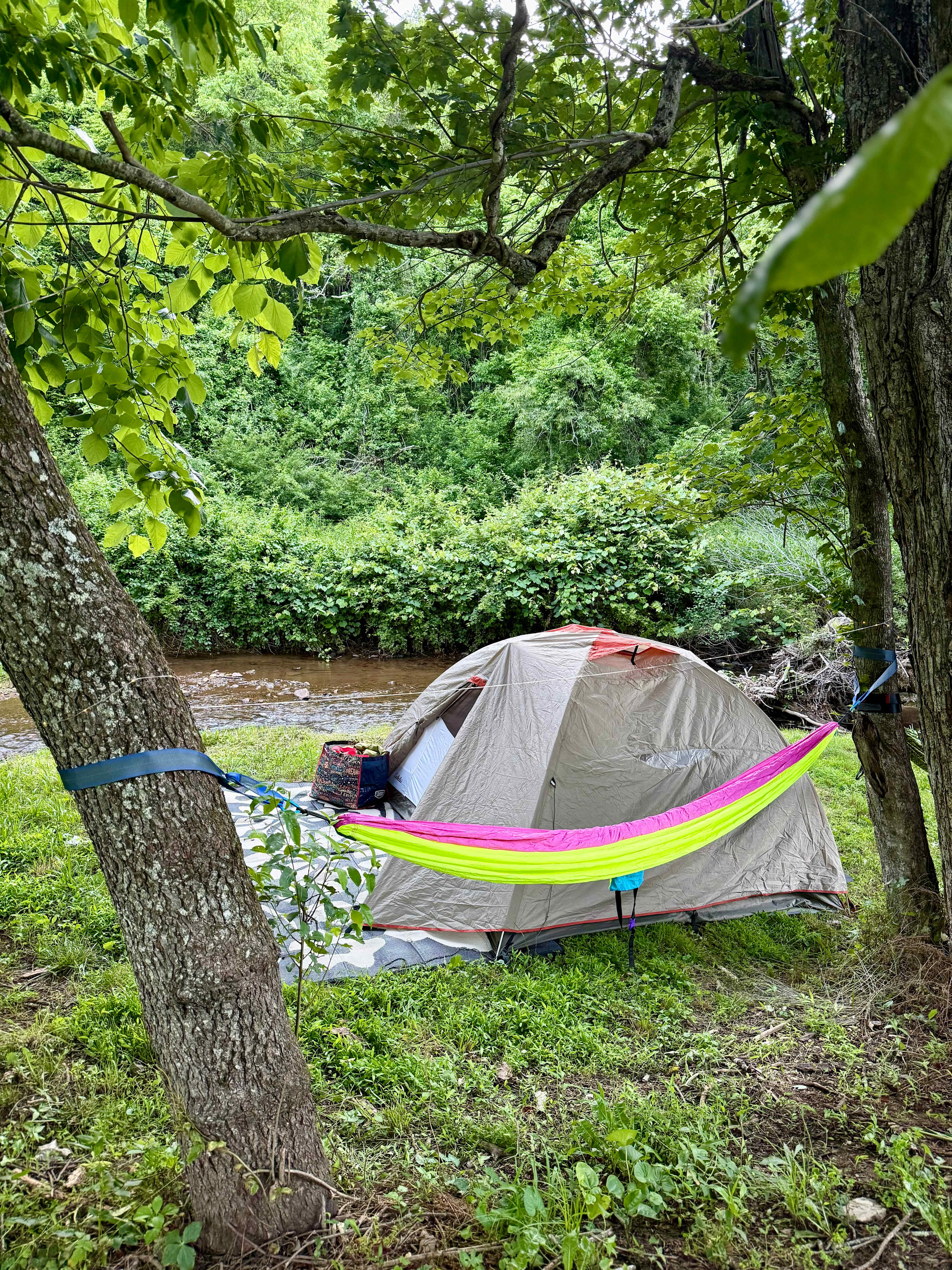 Creekside campsites