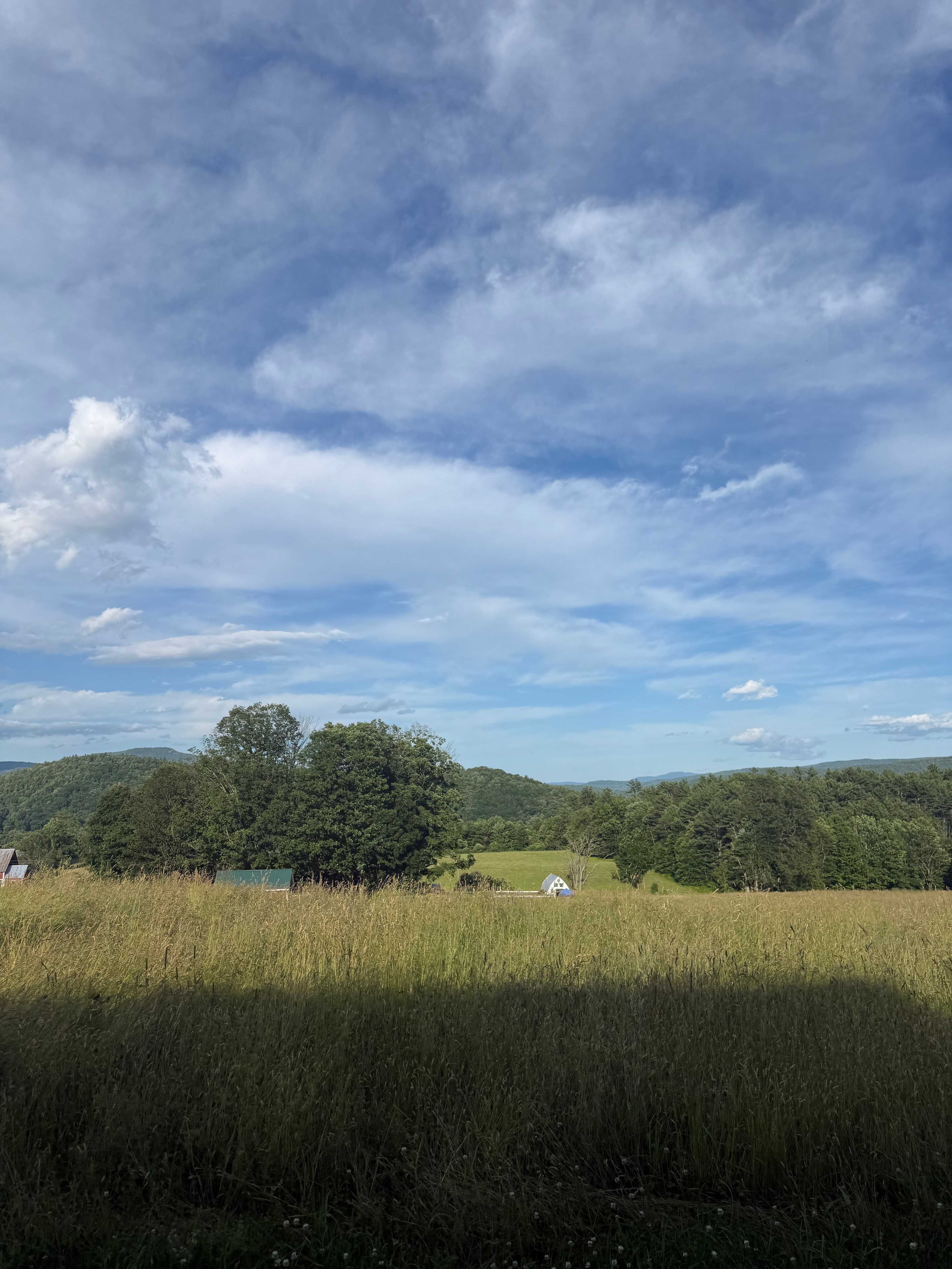 Dancing Bear Farm