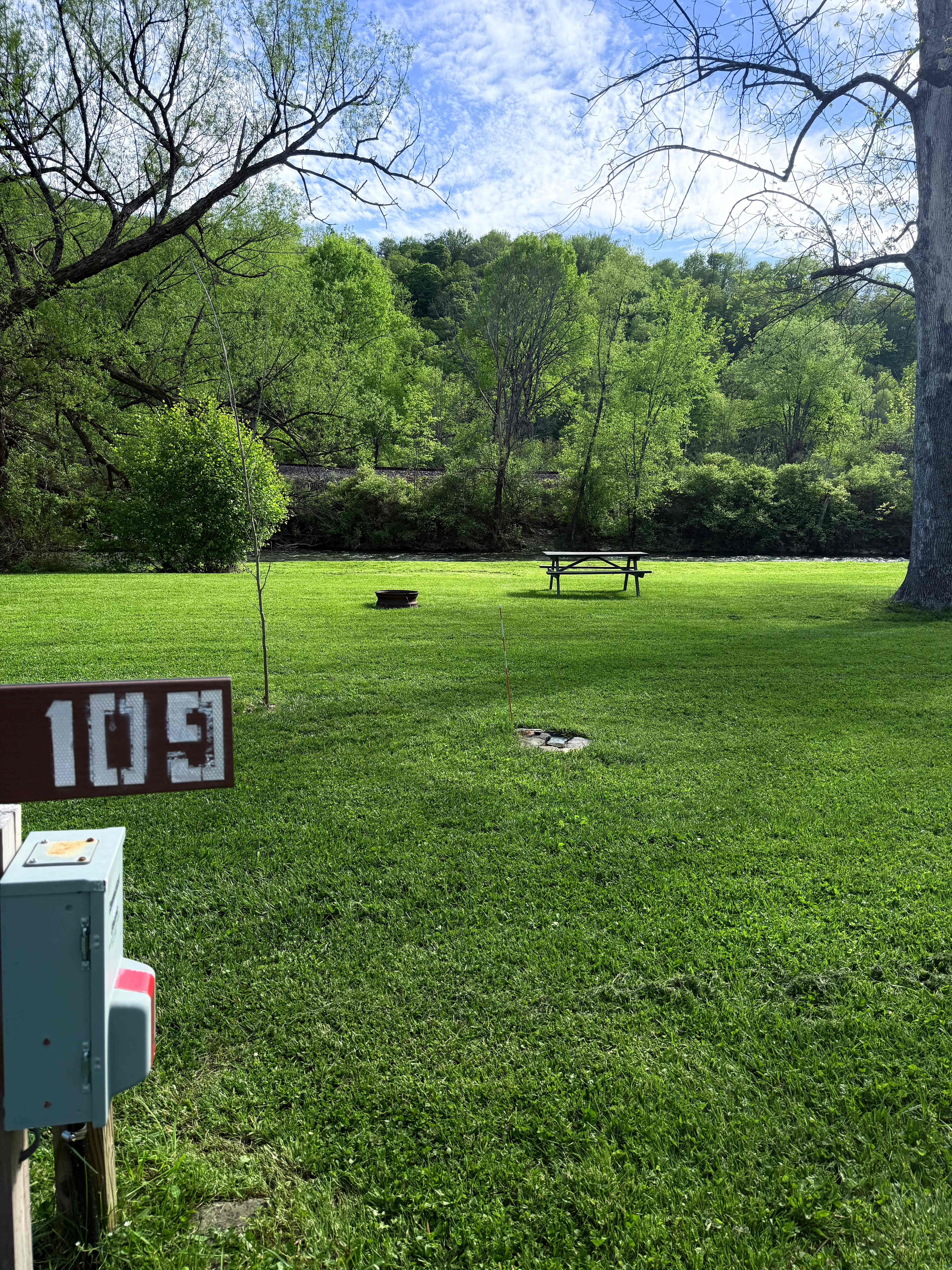 Picture of the site