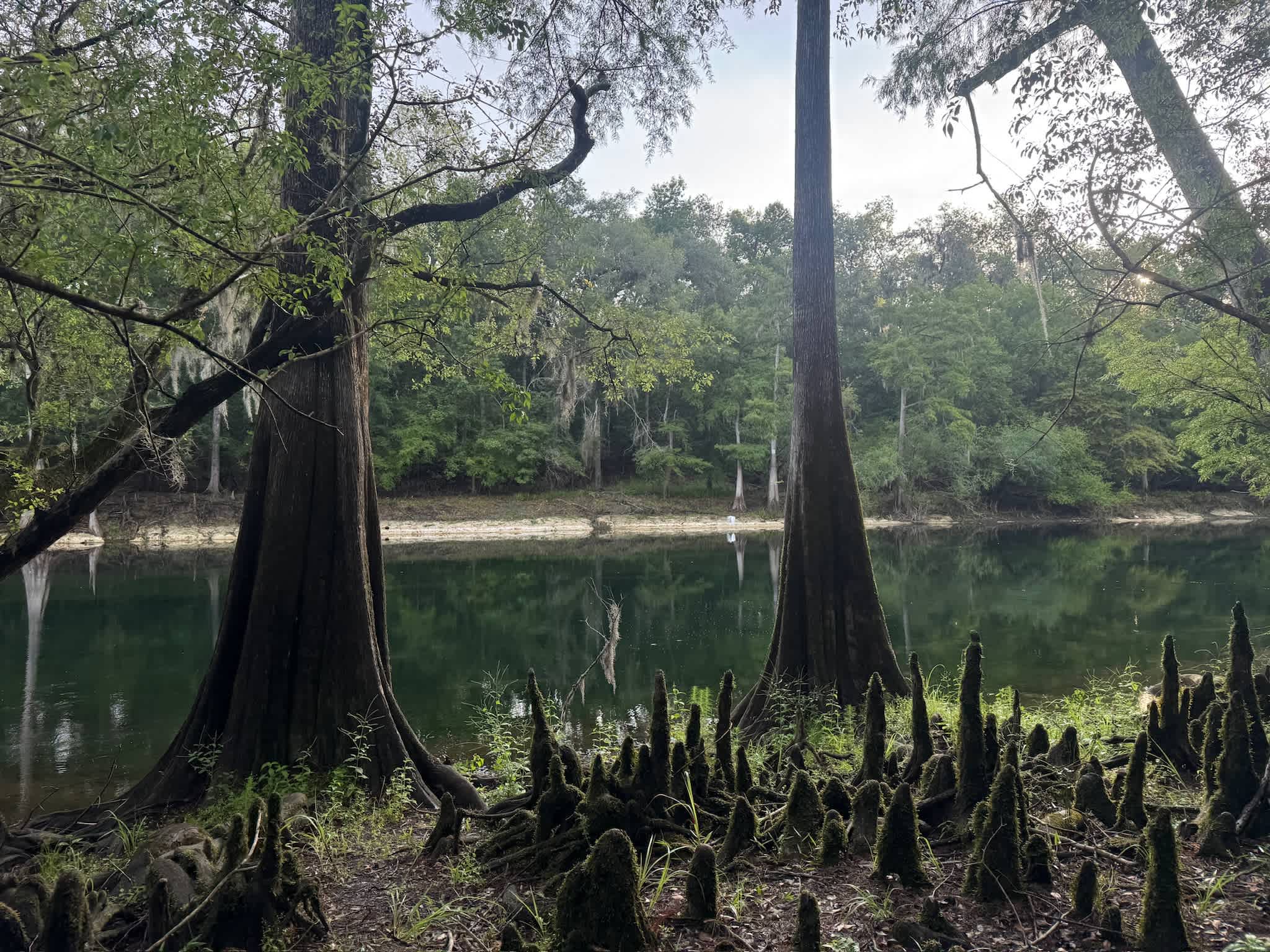Bowman's Landing