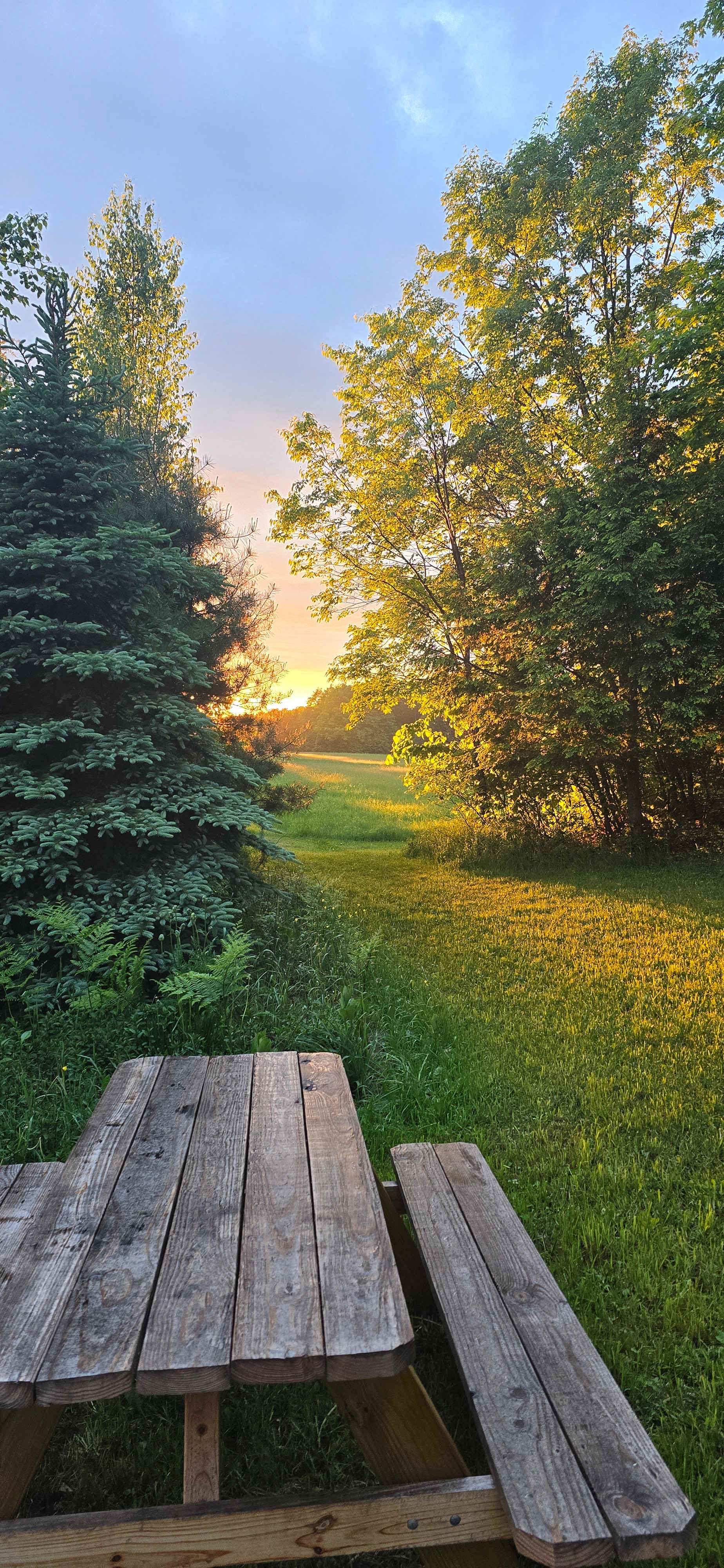 More sunset pics
